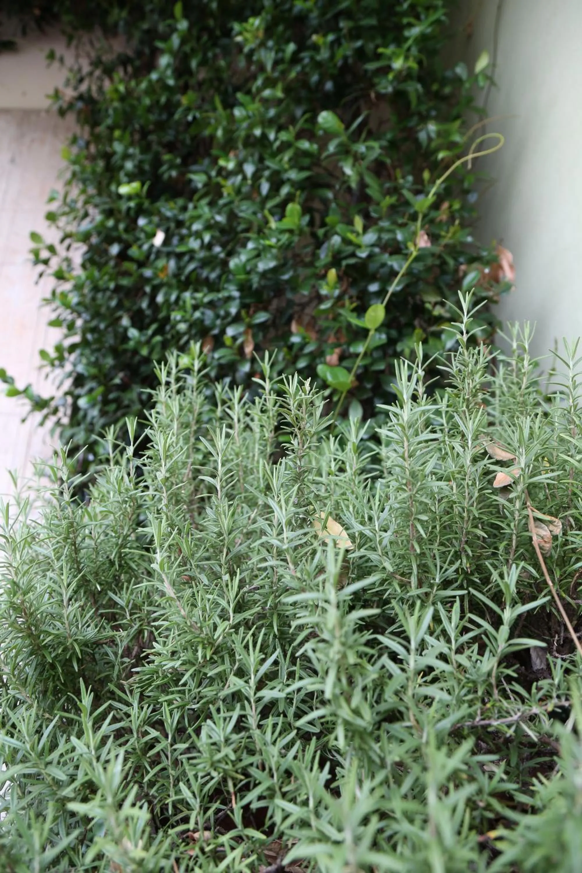 Decorative detail in Hotel Mantegna Stazione, MantegnaHotels