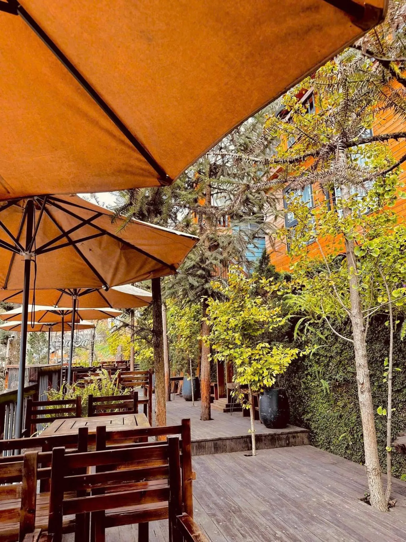 Property building in Sapa Pine Hill Eco Lodge