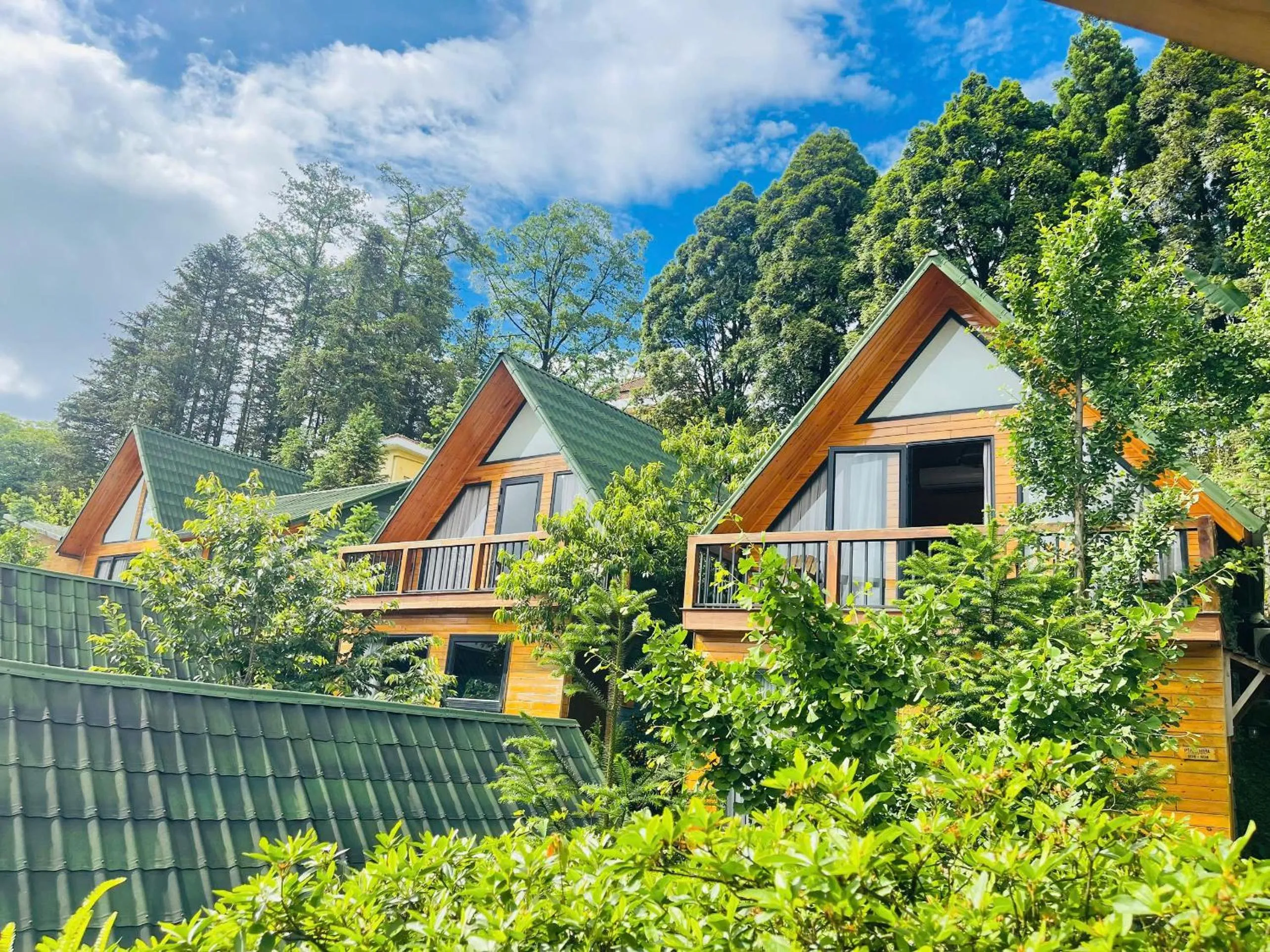 Property building in Sapa Pine Hill Eco Lodge