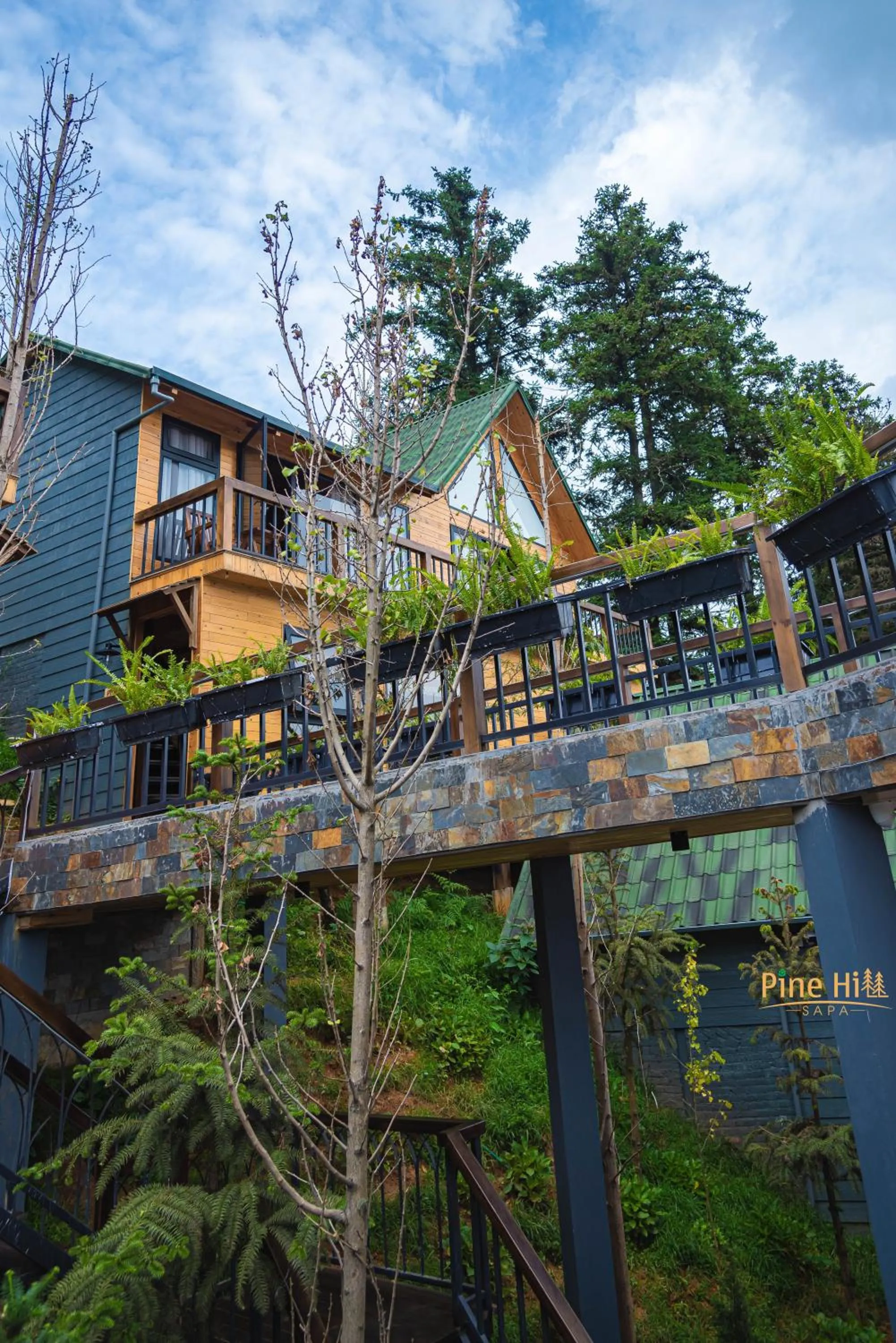 Property building in Sapa Pine Hill Eco Lodge