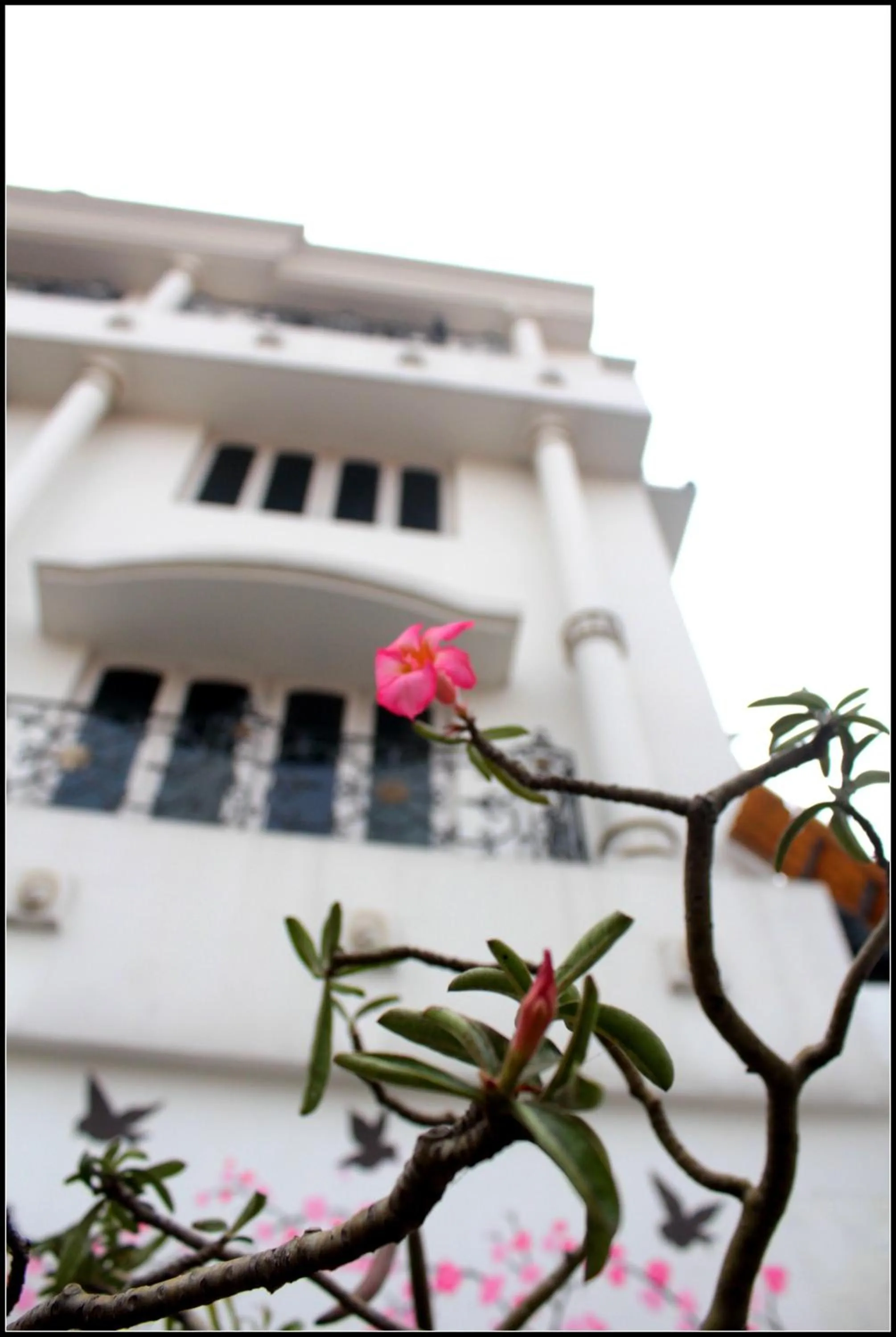 Facade/entrance in Georgian Inn