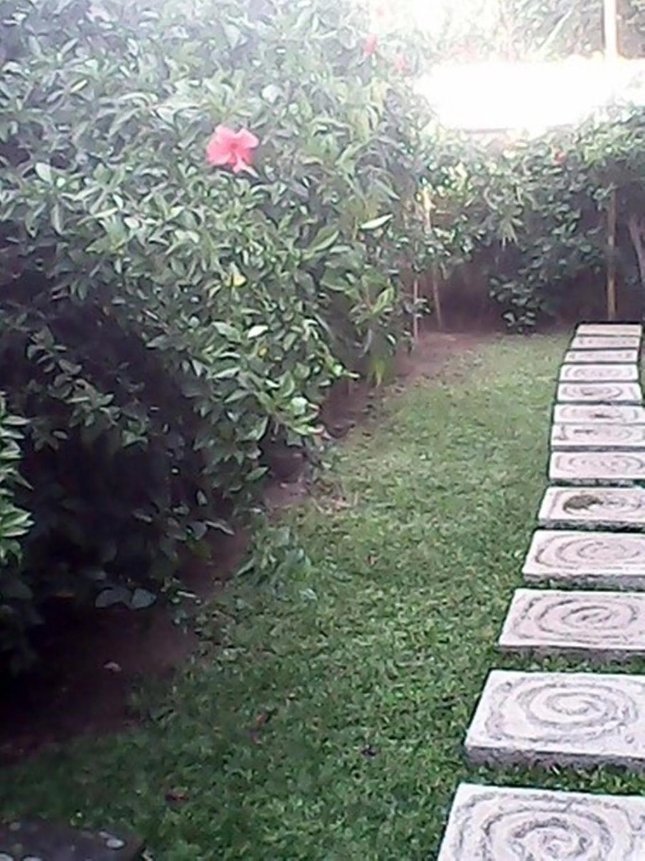 Facade/entrance in Bali Sari Homestay