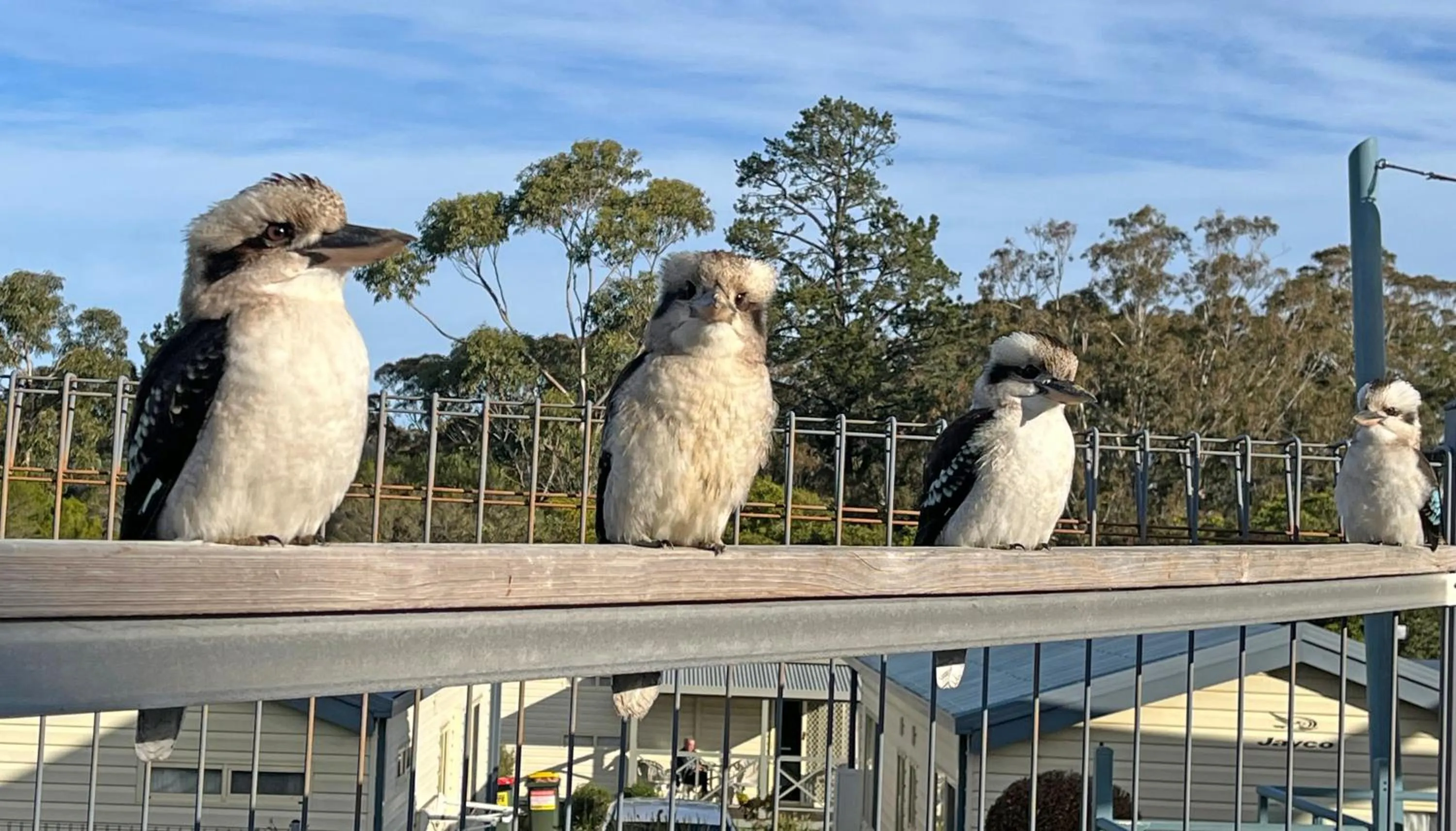 Metung Holiday Villas