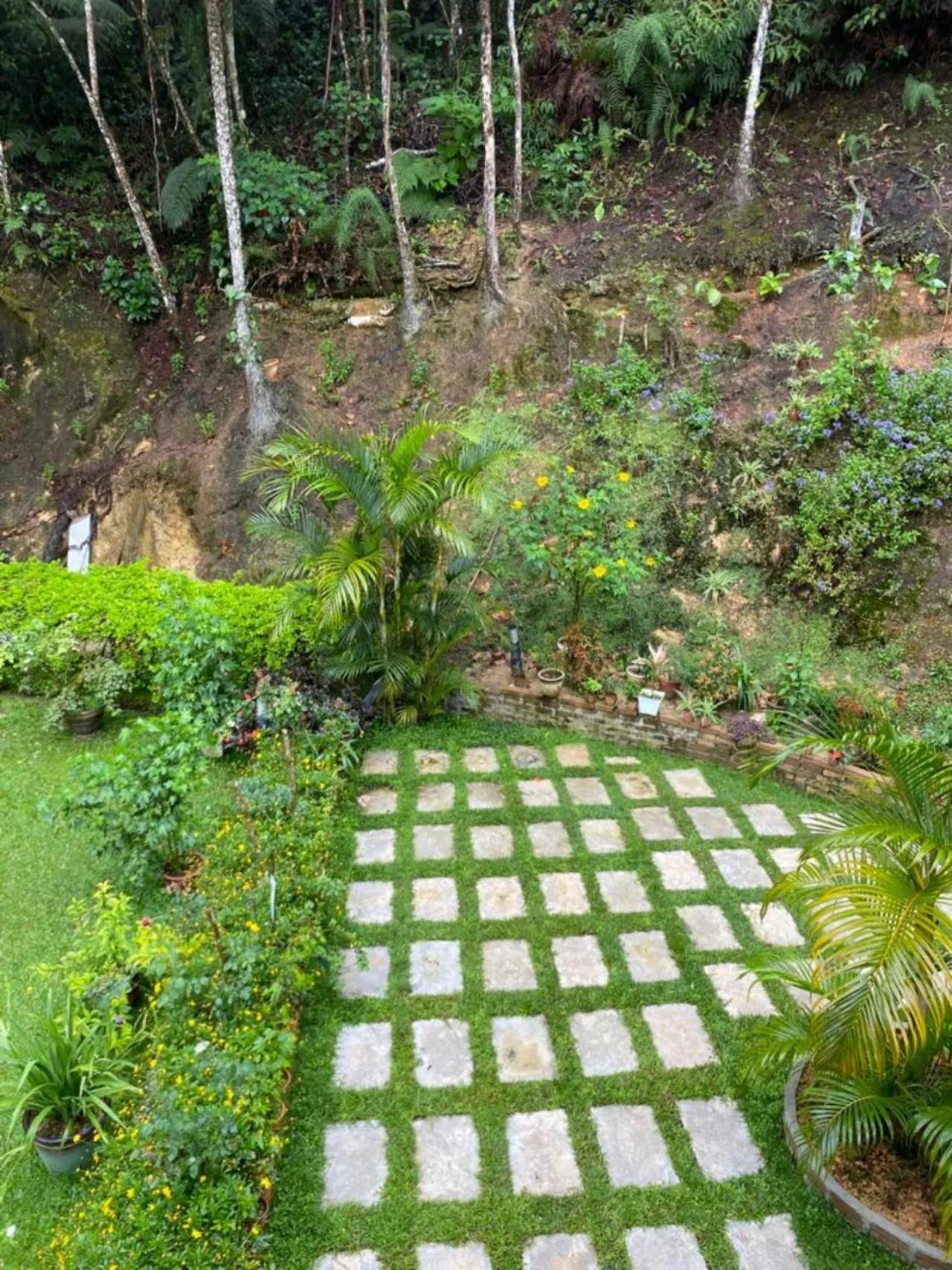 Garden in Highlanders Garden Guesthouse at Arundina Cameron Highlands