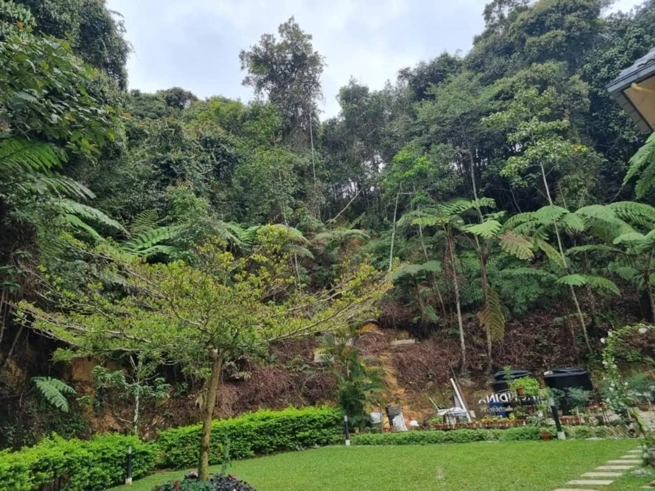 Garden in Highlanders Garden Guesthouse at Arundina Cameron Highlands