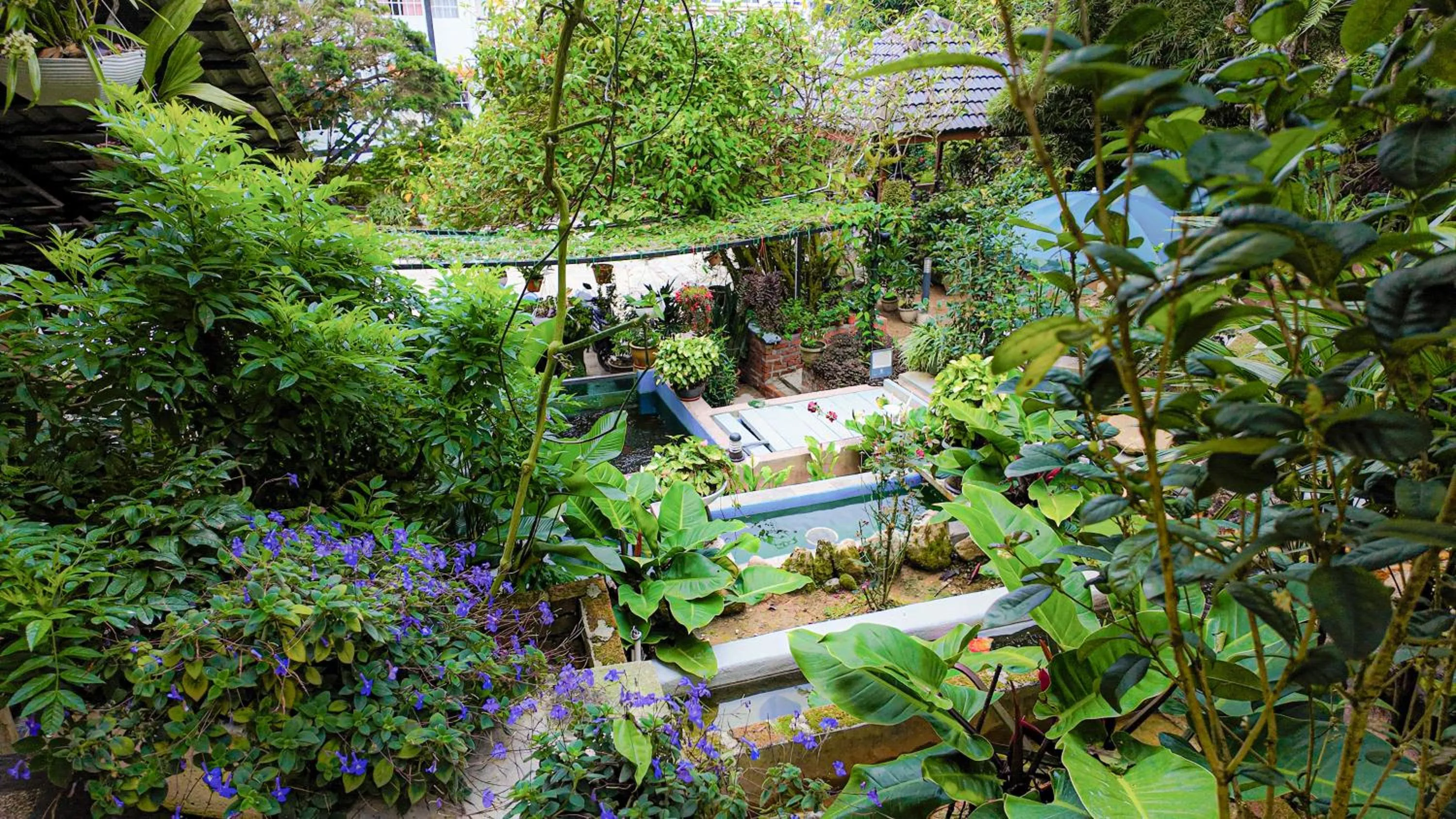 Garden in Highlanders Garden Guesthouse at Arundina Cameron Highlands