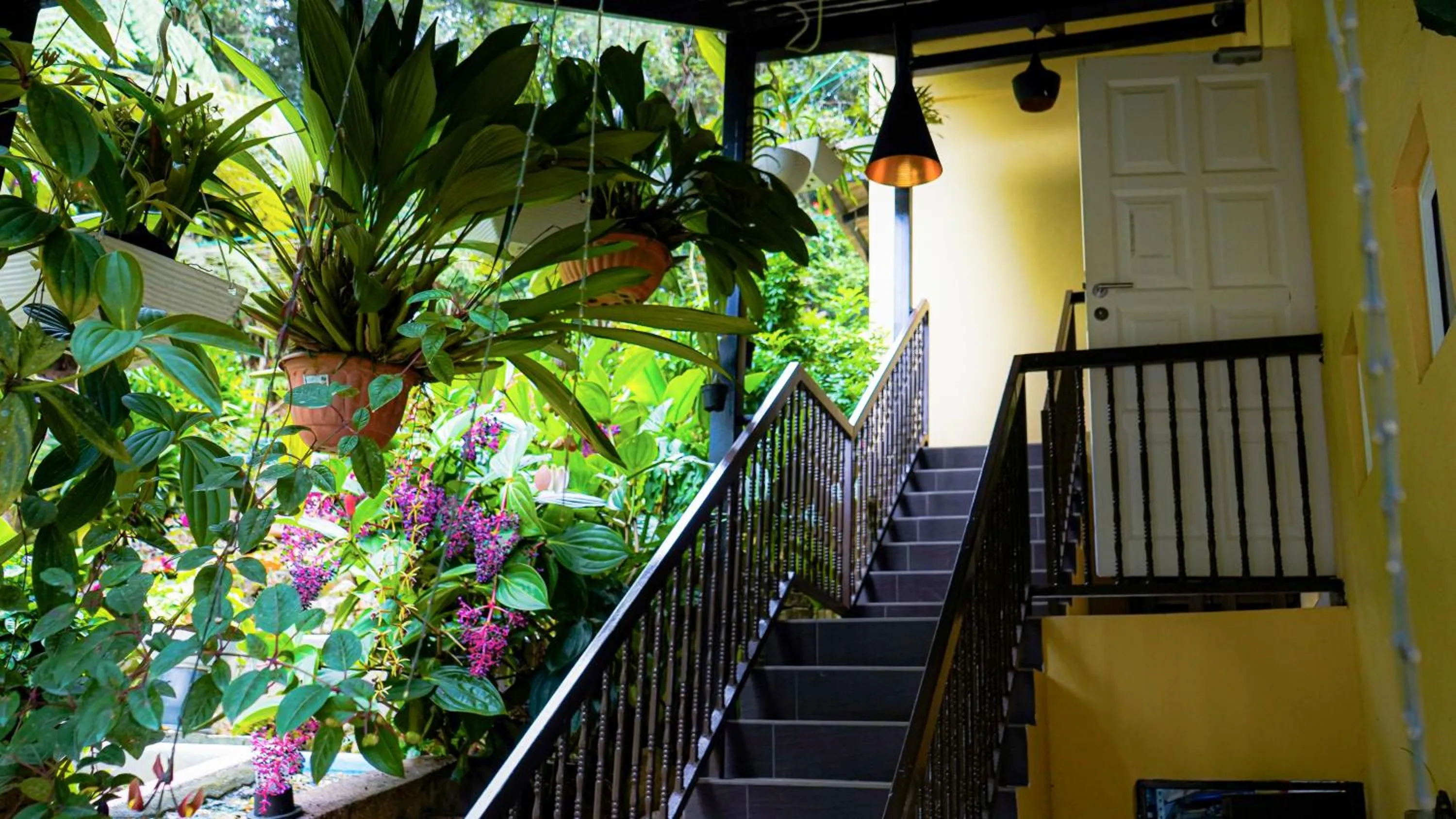 Garden in Highlanders Garden Guesthouse at Arundina Cameron Highlands