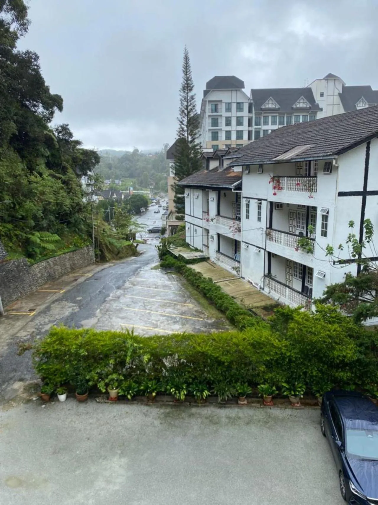 View (from property/room) in Highlanders Garden Guesthouse at Arundina Cameron Highlands