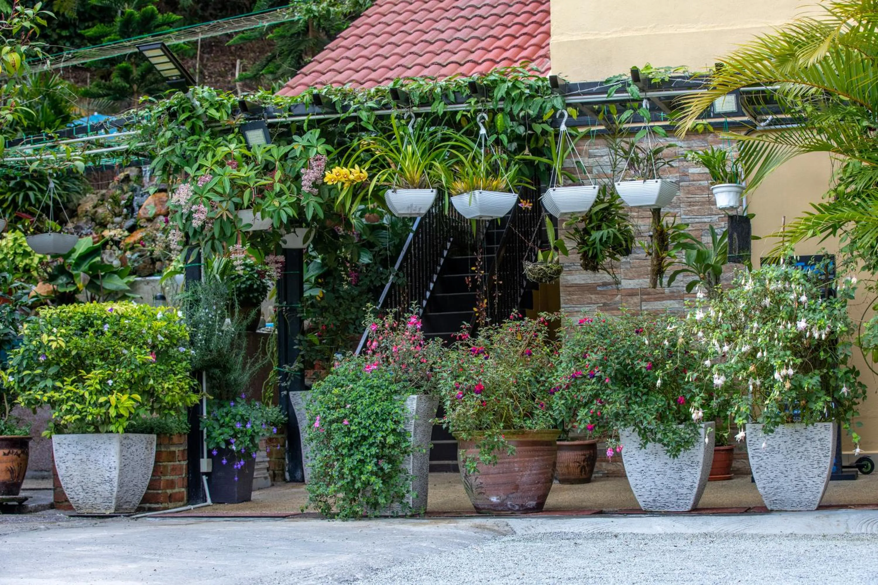Garden view in Highlanders Garden Guesthouse at Arundina Cameron Highlands