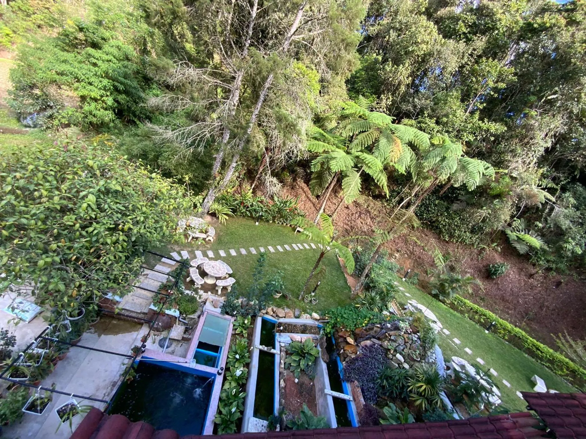 Bird's eye view in Highlanders Garden Guesthouse at Arundina Cameron Highlands