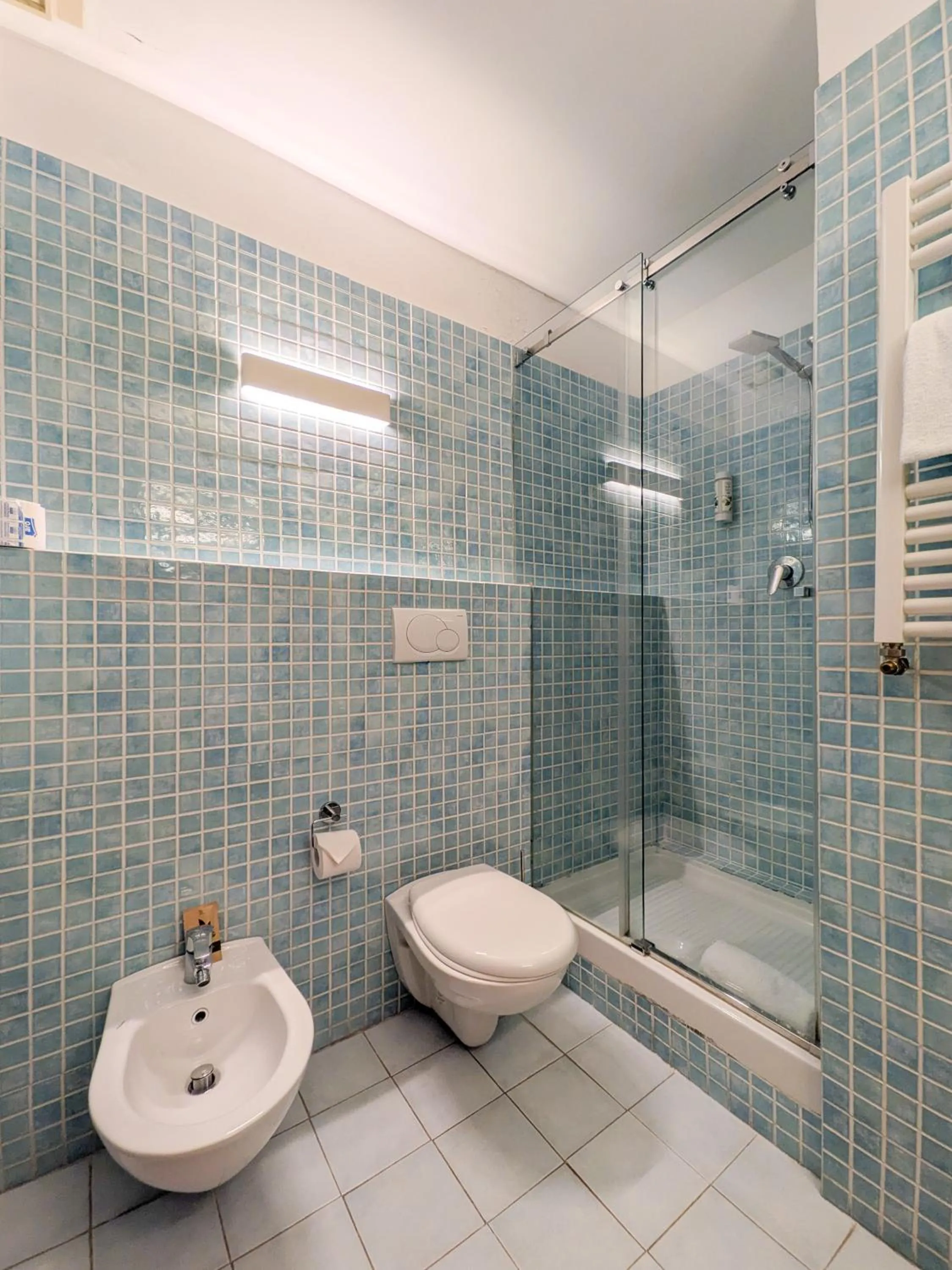 Toilet in Hotel Lauri