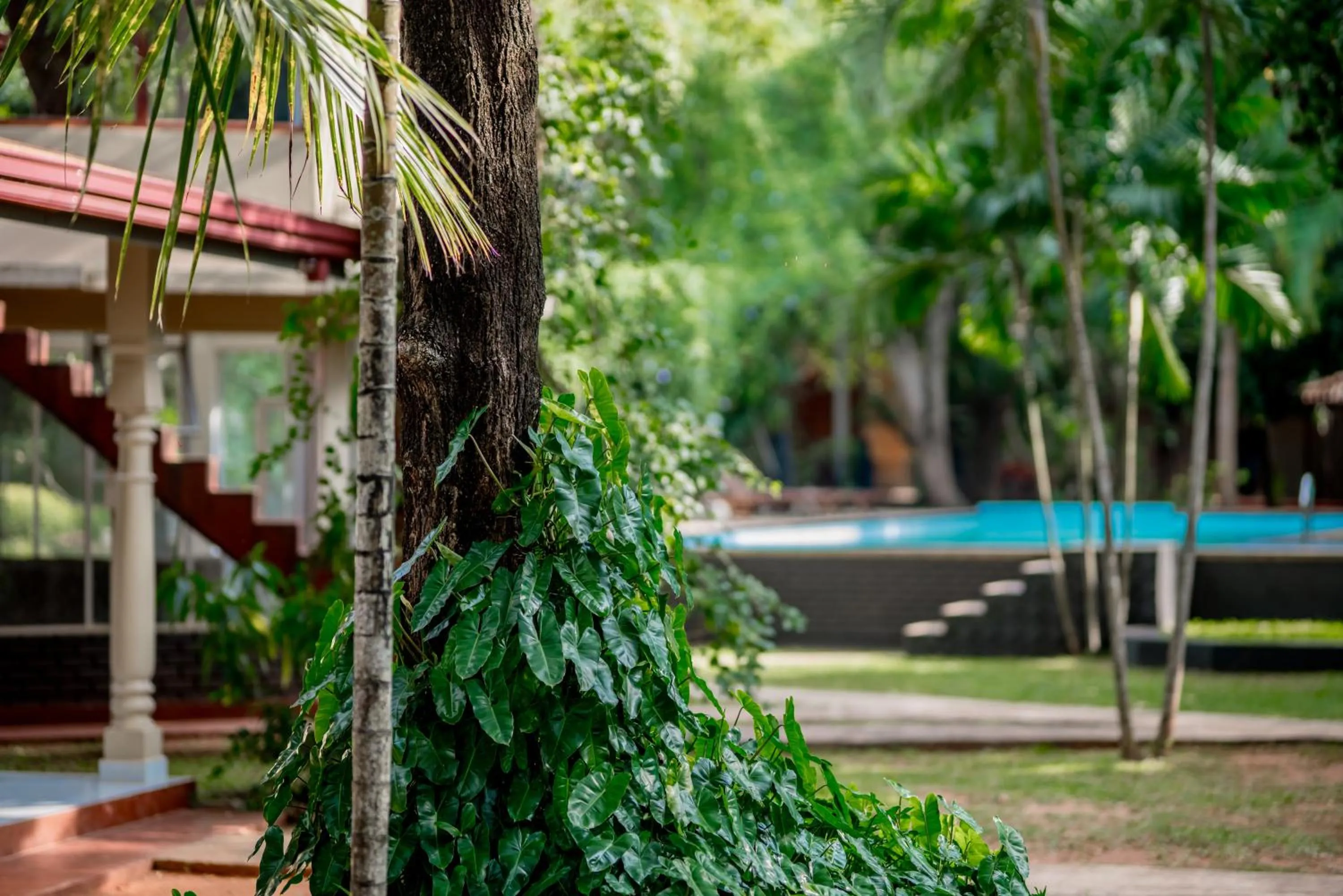 Natural landscape in Lavendish Country Resort