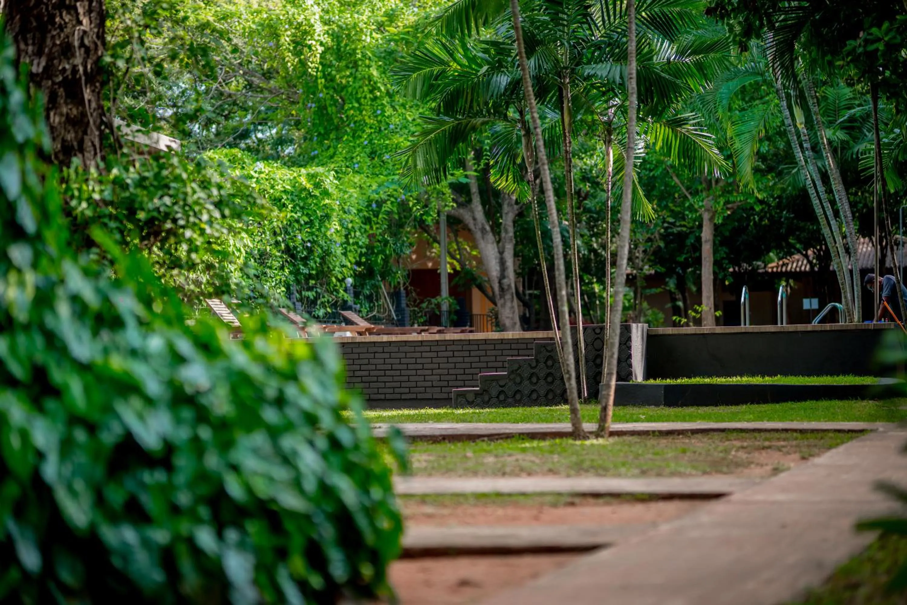 Natural landscape in Lavendish Country Resort