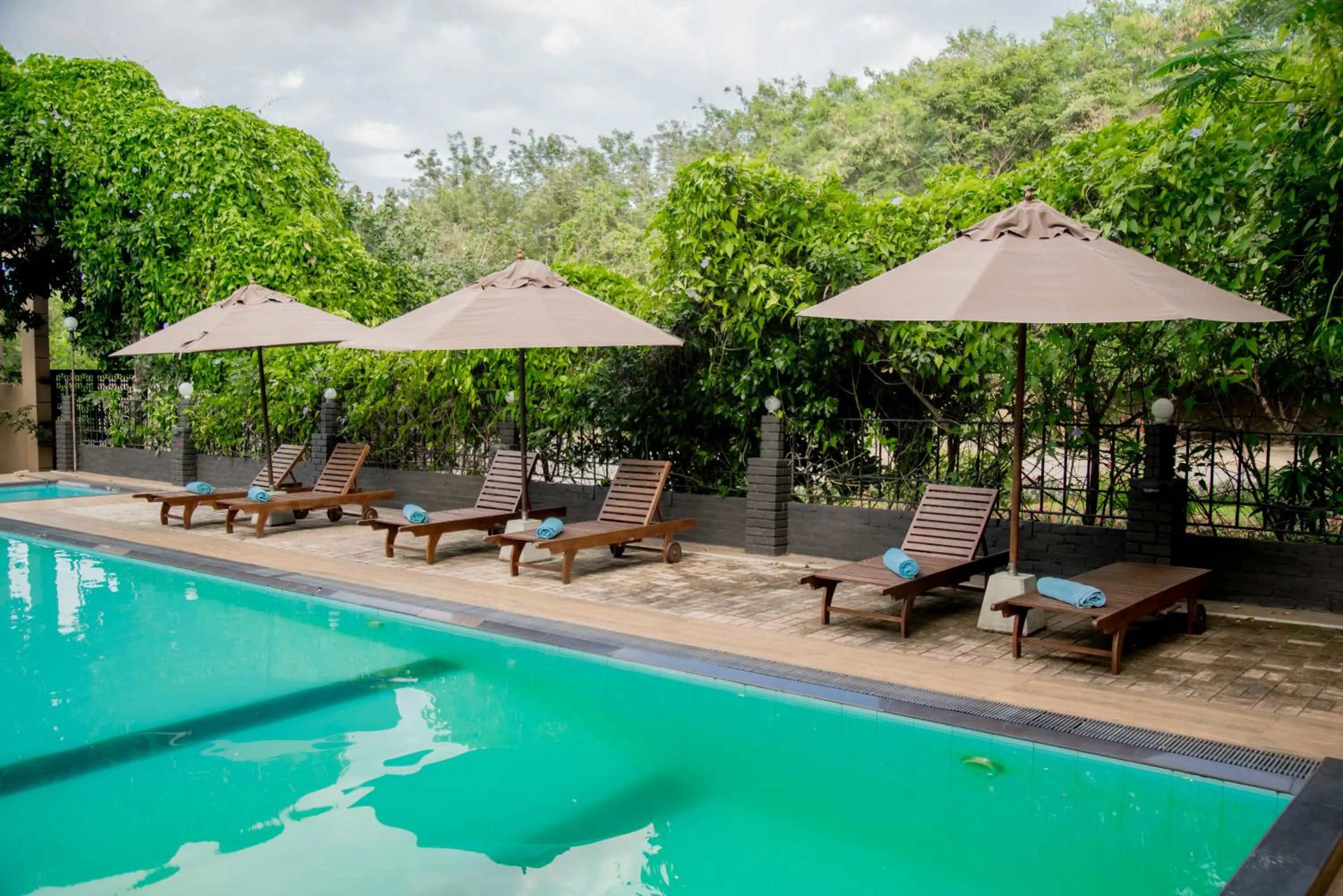 Day in Lavendish Country Resort