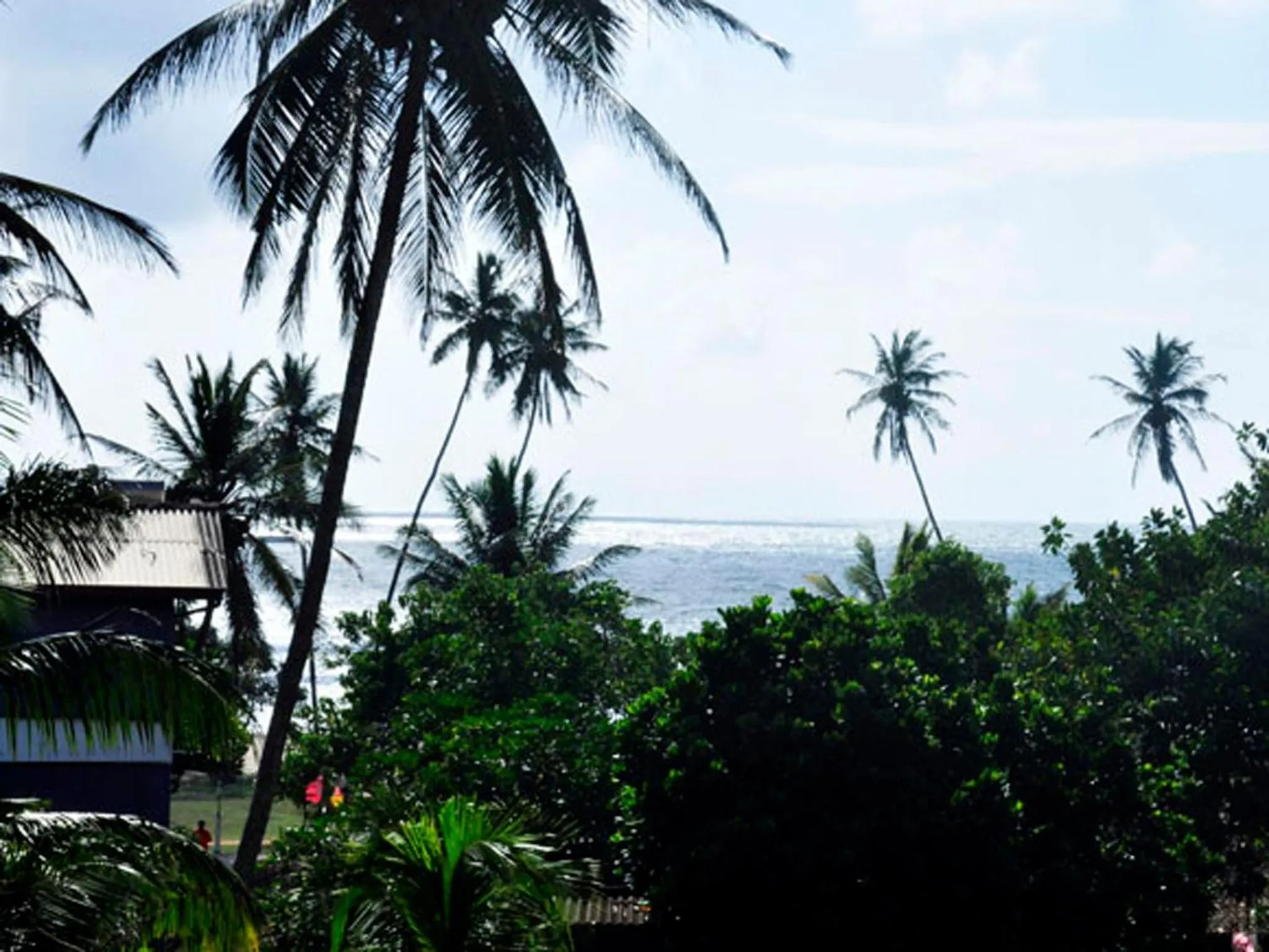 View (from property/room) in Little Paradise