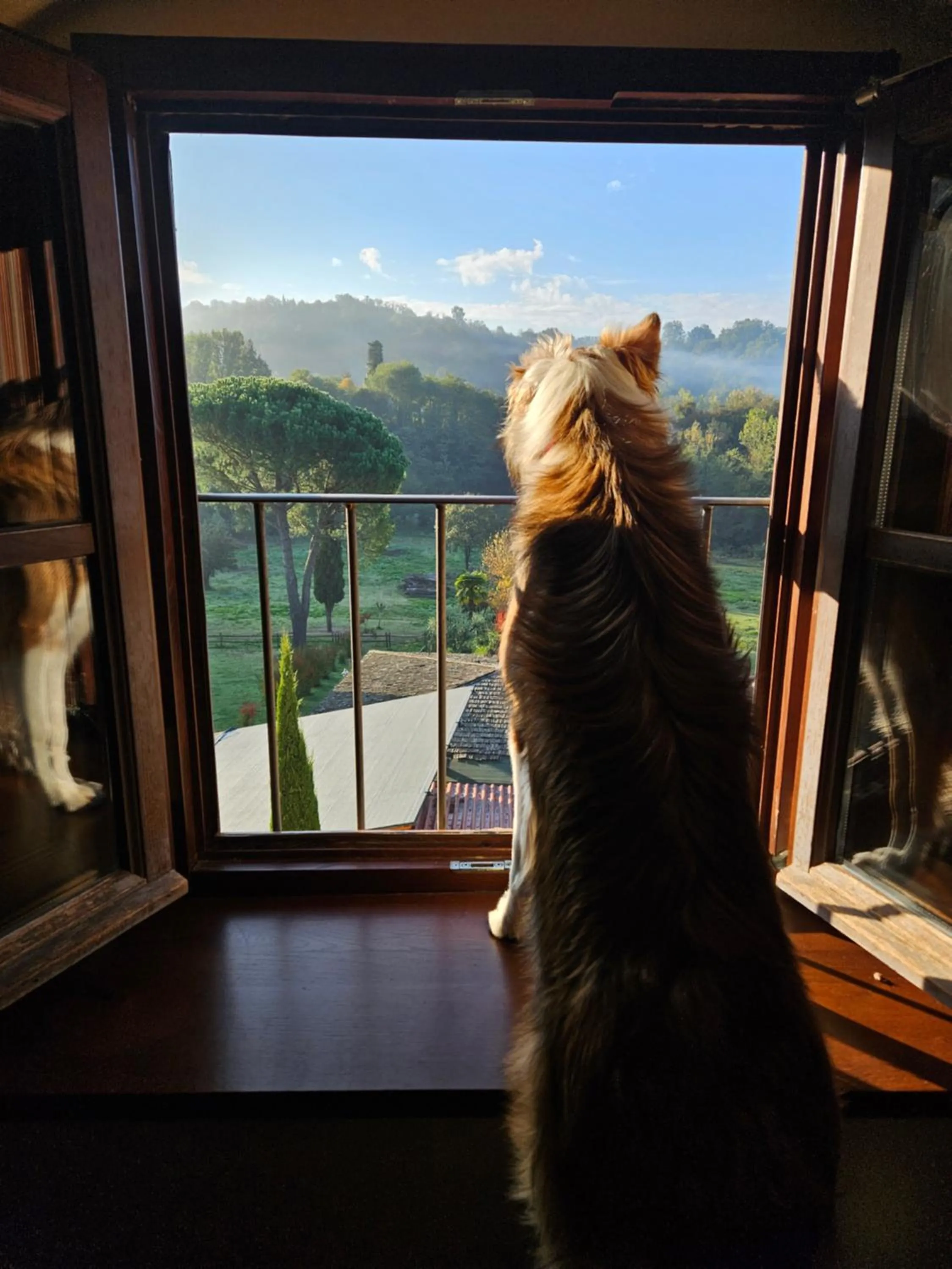 Pool view in Villa Rigacci