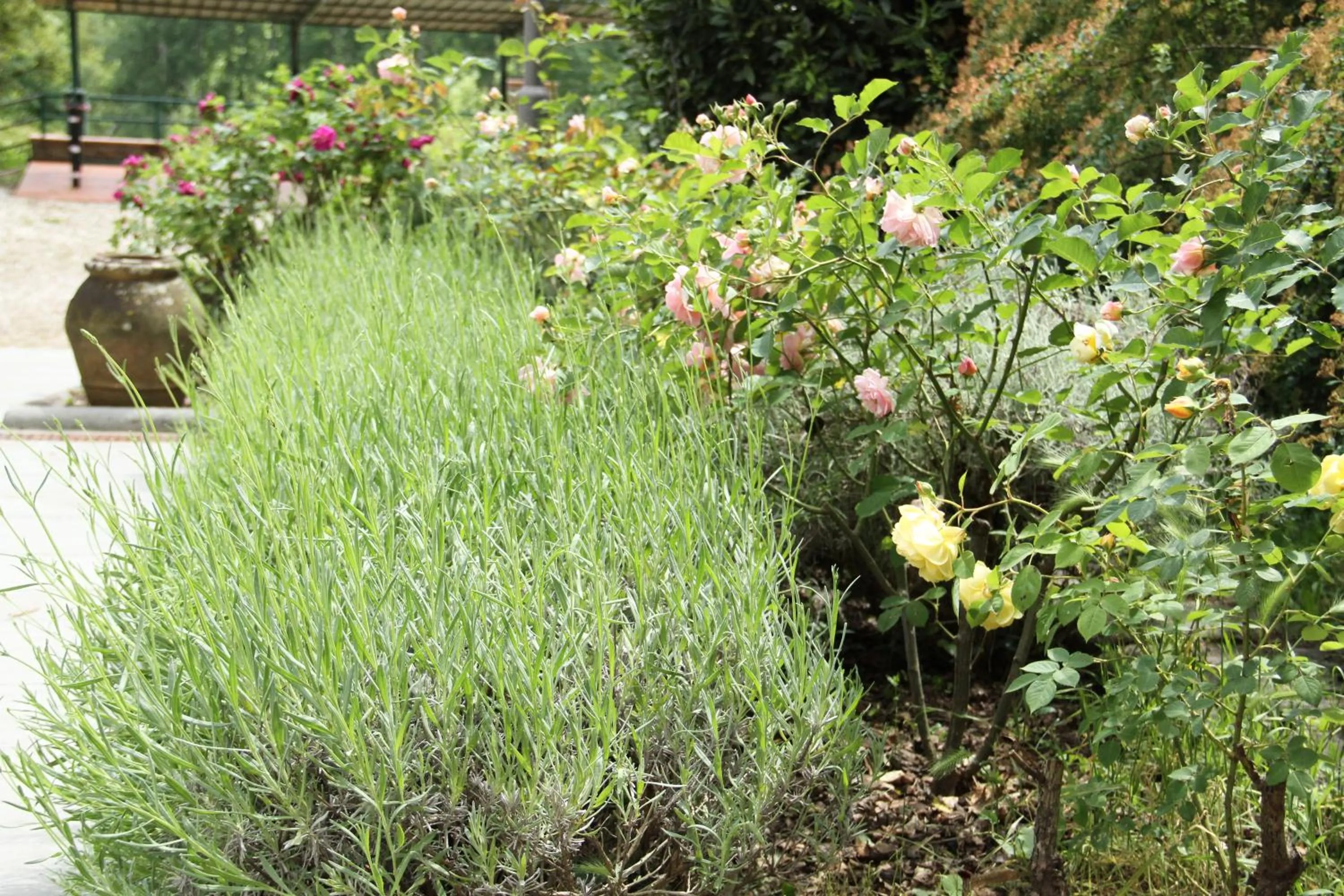 Garden in Villa Rigacci