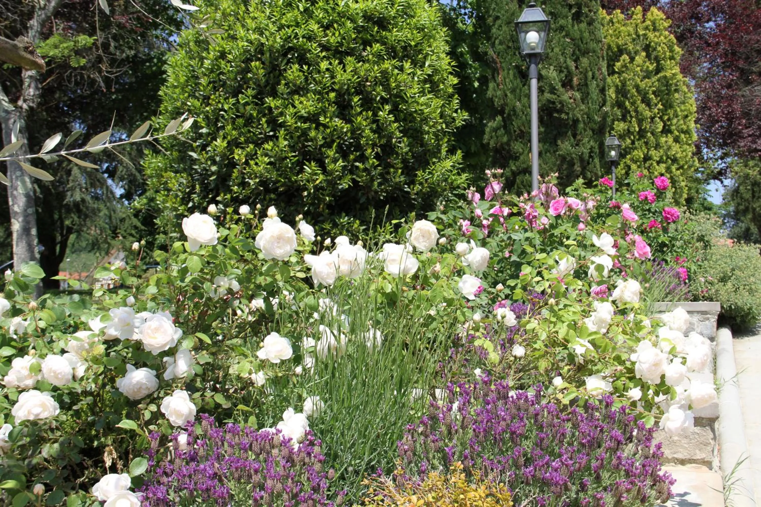 Garden in Villa Rigacci