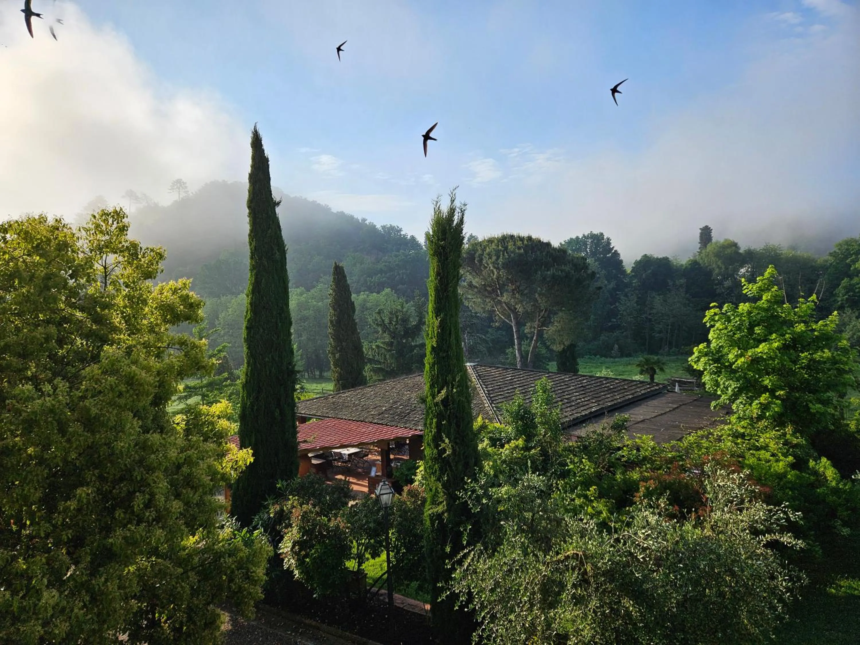 Restaurant/places to eat in Villa Rigacci