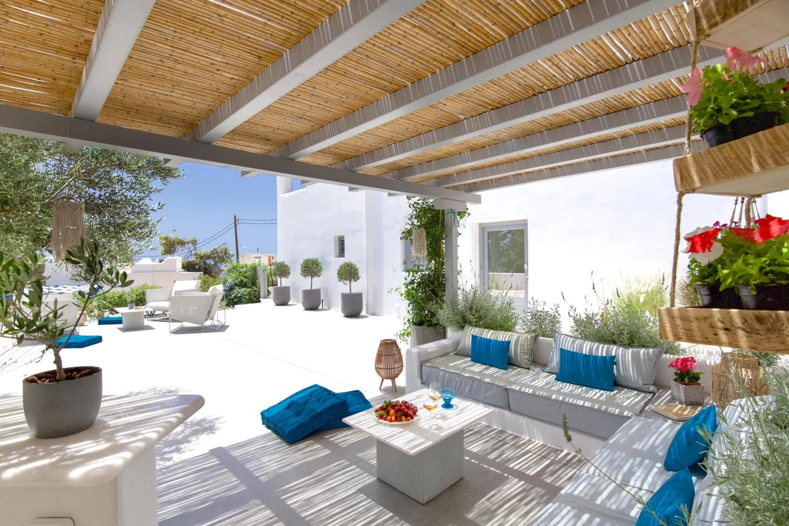 Garden in Alexander Suites