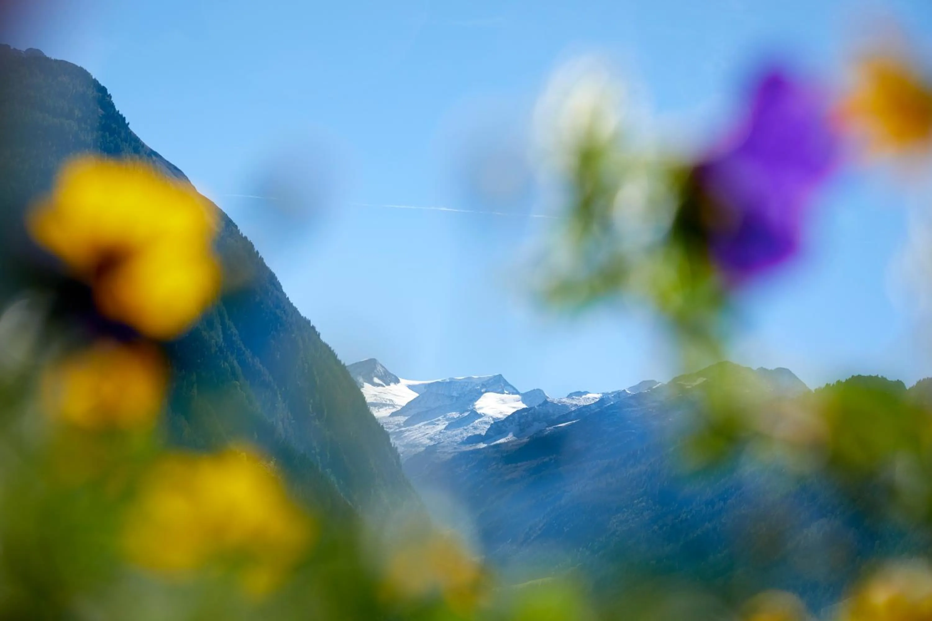 Natural landscape in Hotel Gasthof Abelhof
