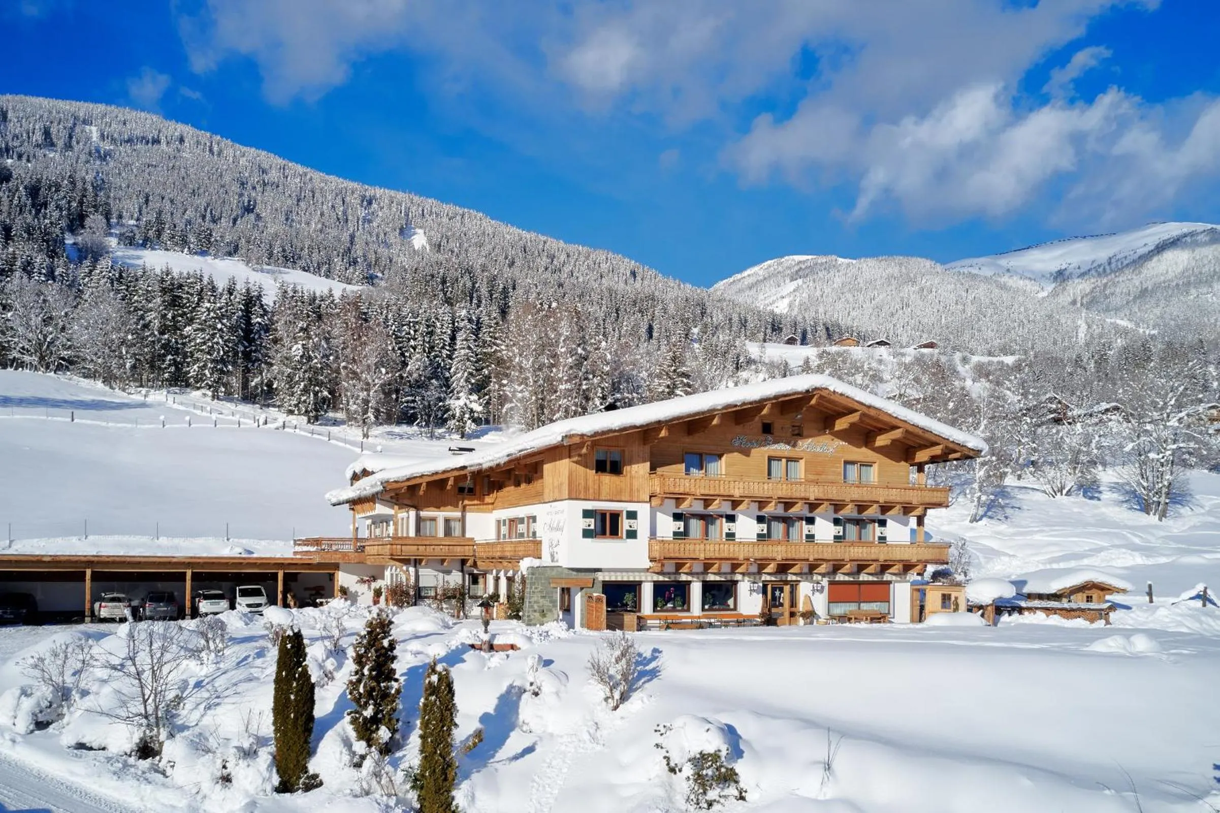 Winter in Hotel Gasthof Abelhof