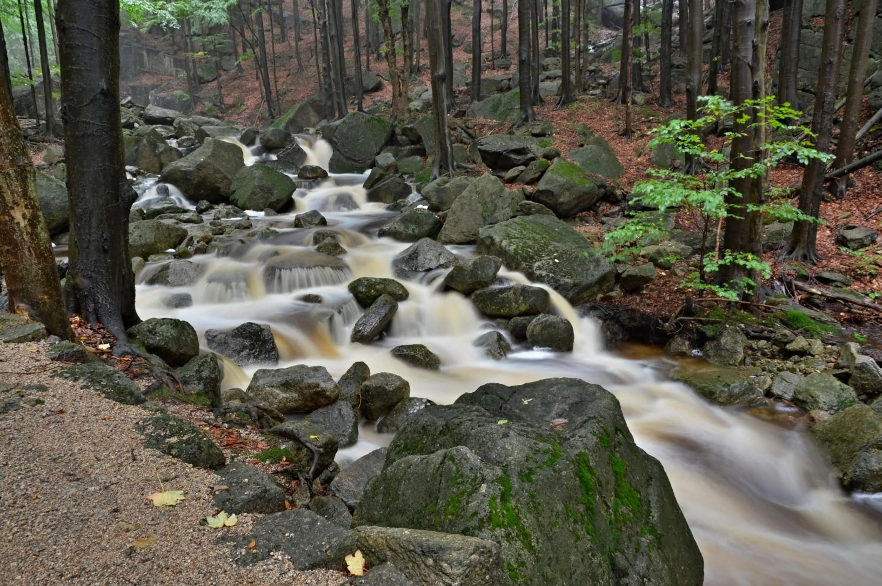 Area and facilities in Horská chata Hubert