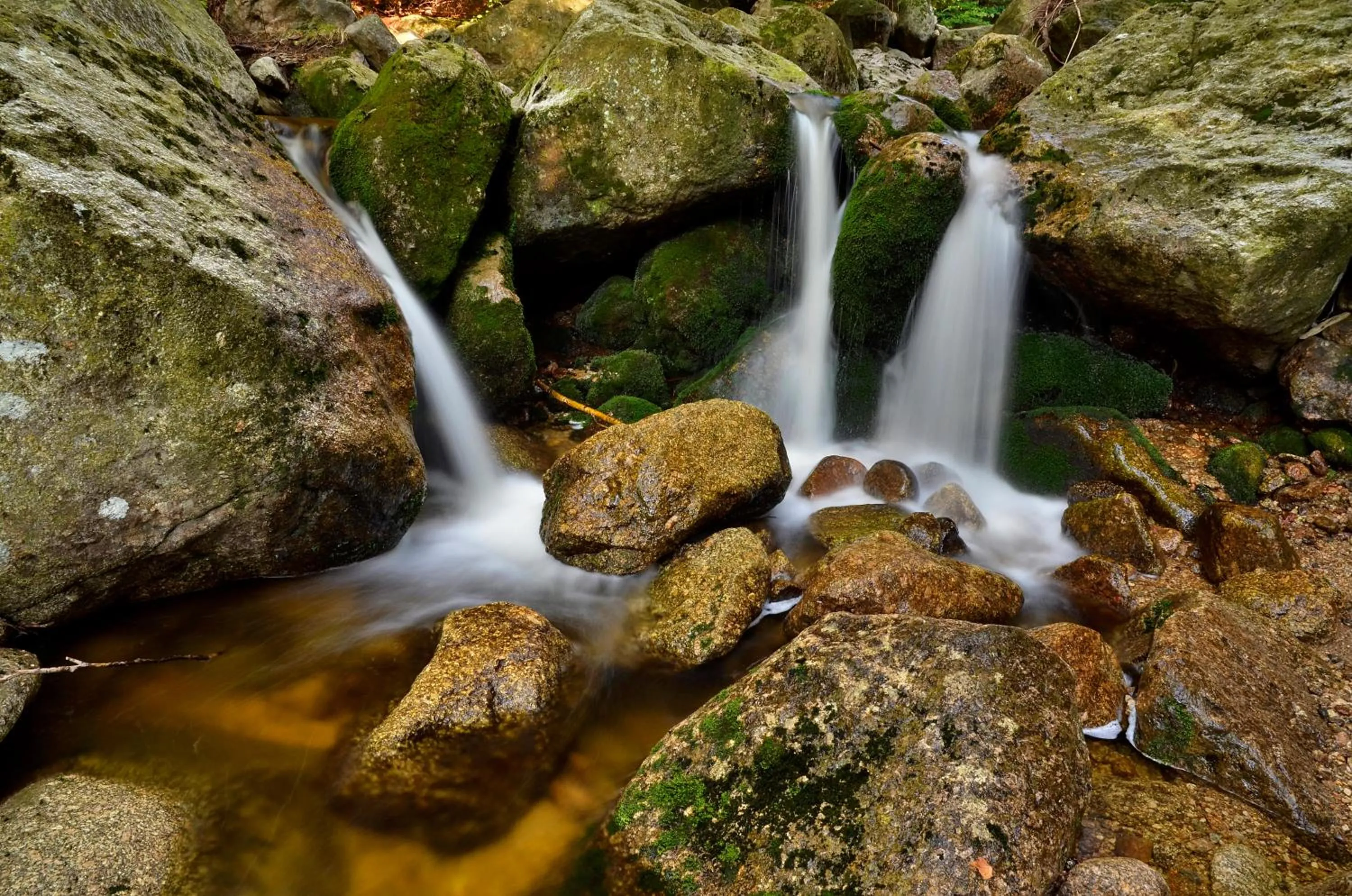 Area and facilities in Horská chata Hubert