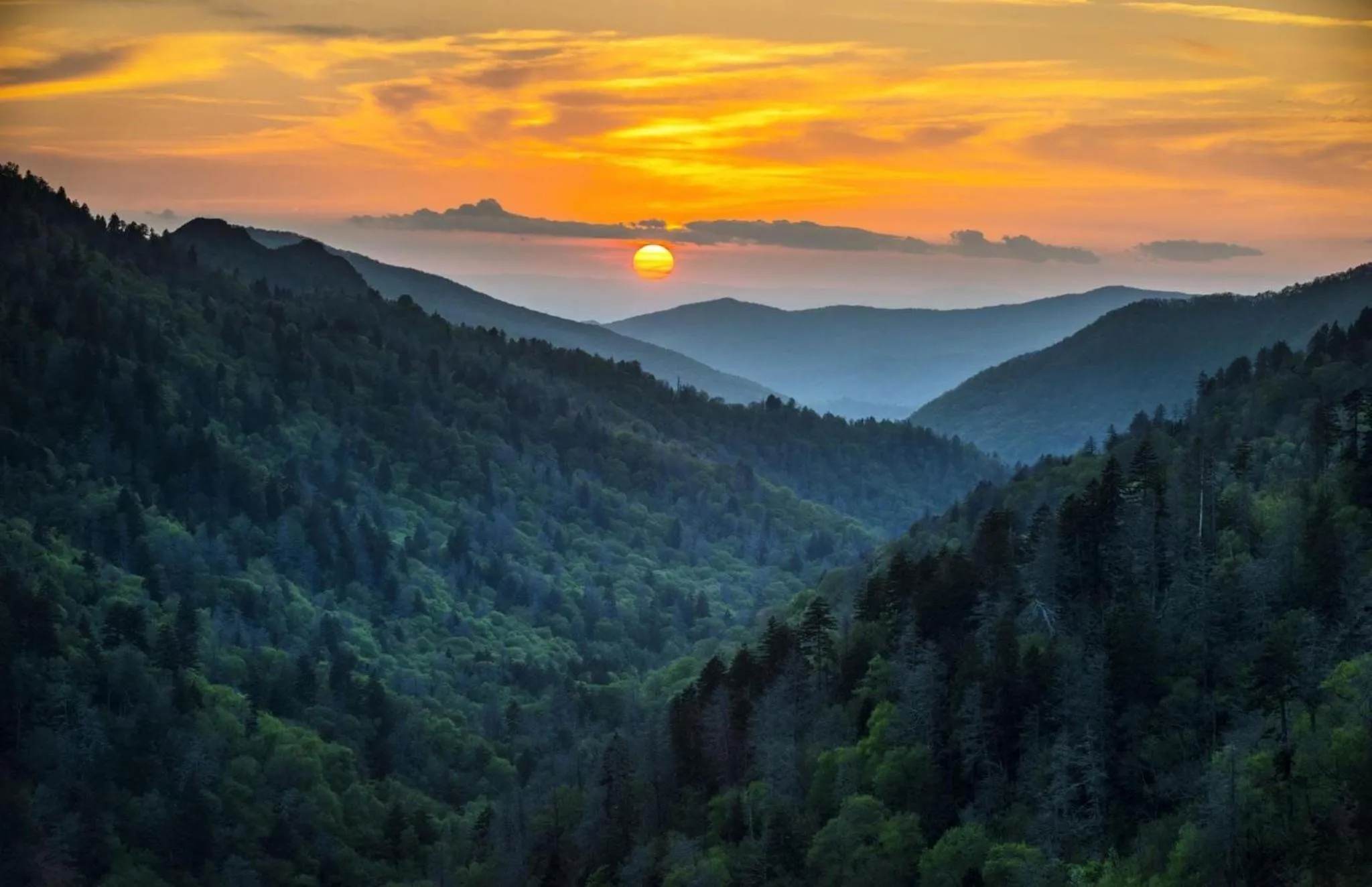 Smokies Inn - New Linens & Ultrafast WIFI - Friendliest Hospitality Guaranteed!