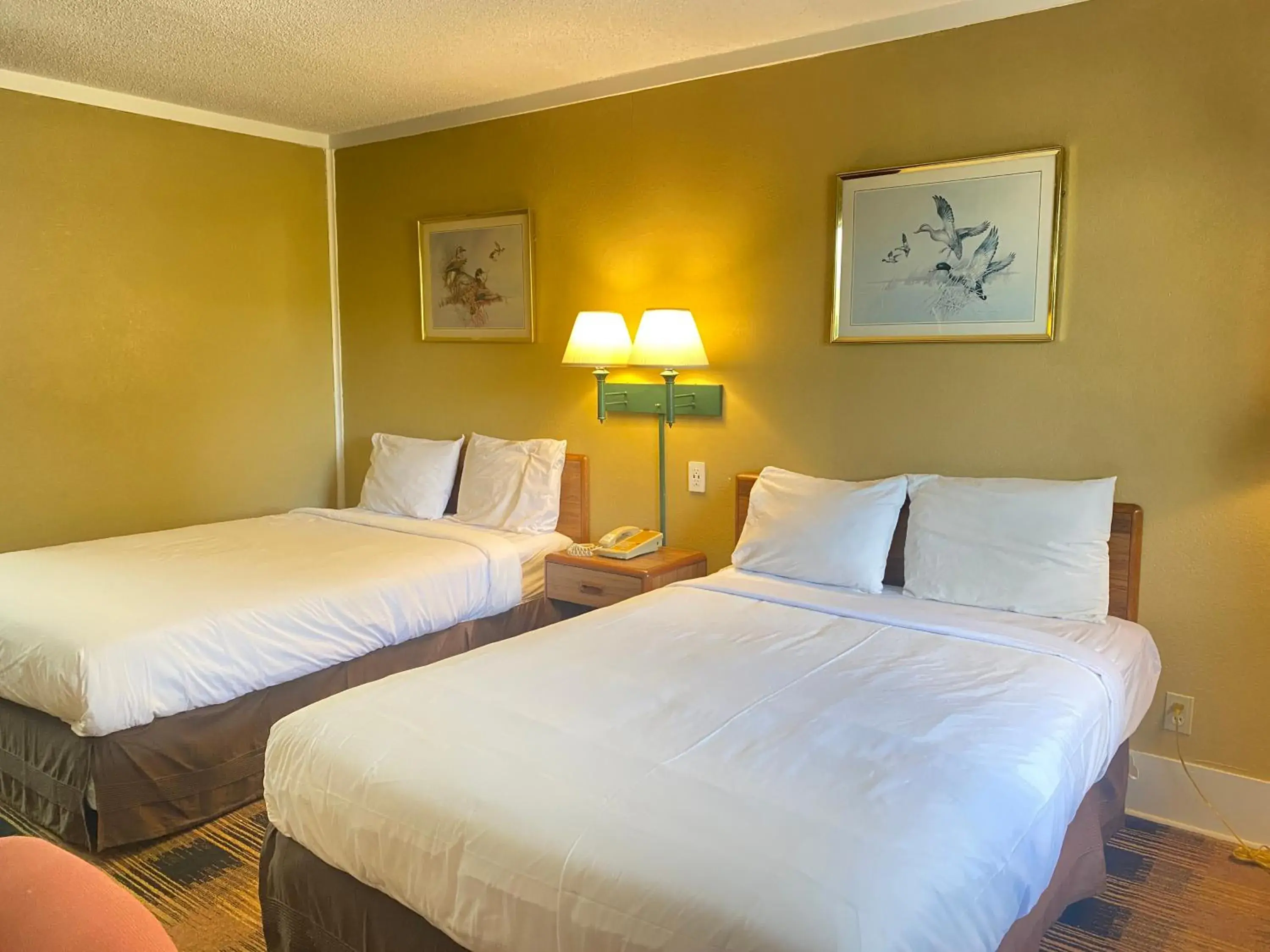 Standard Double Room in Smokies Inn - New Linens & Ultrafast WIFI - Friendliest Hospitality Guaranteed! Standard Double Room in Smokies Inn - New Linens & Ultrafast WIFI - Friendliest Hospitality Guaranteed!