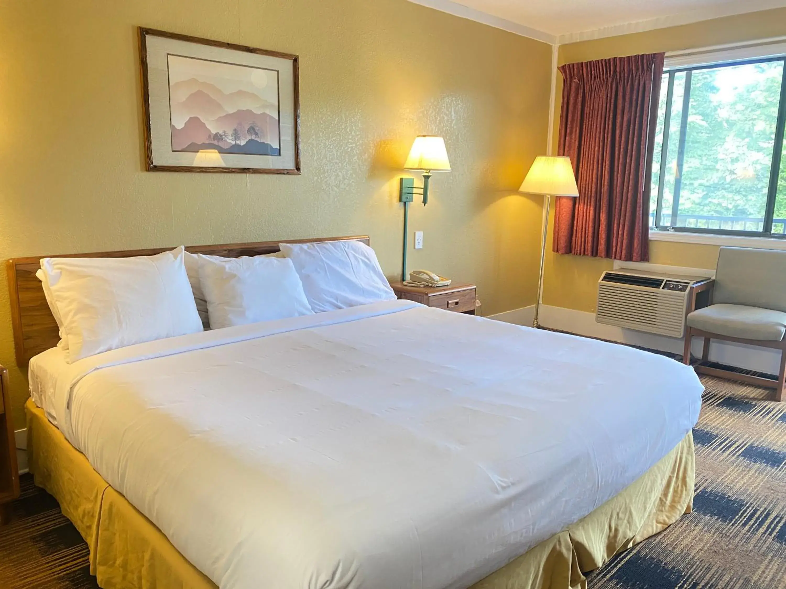 King Room in Smokies Inn - New Linens & Ultrafast WIFI - Friendliest Hospitality Guaranteed! King Room in Smokies Inn - New Linens & Ultrafast WIFI - Friendliest Hospitality Guaranteed!