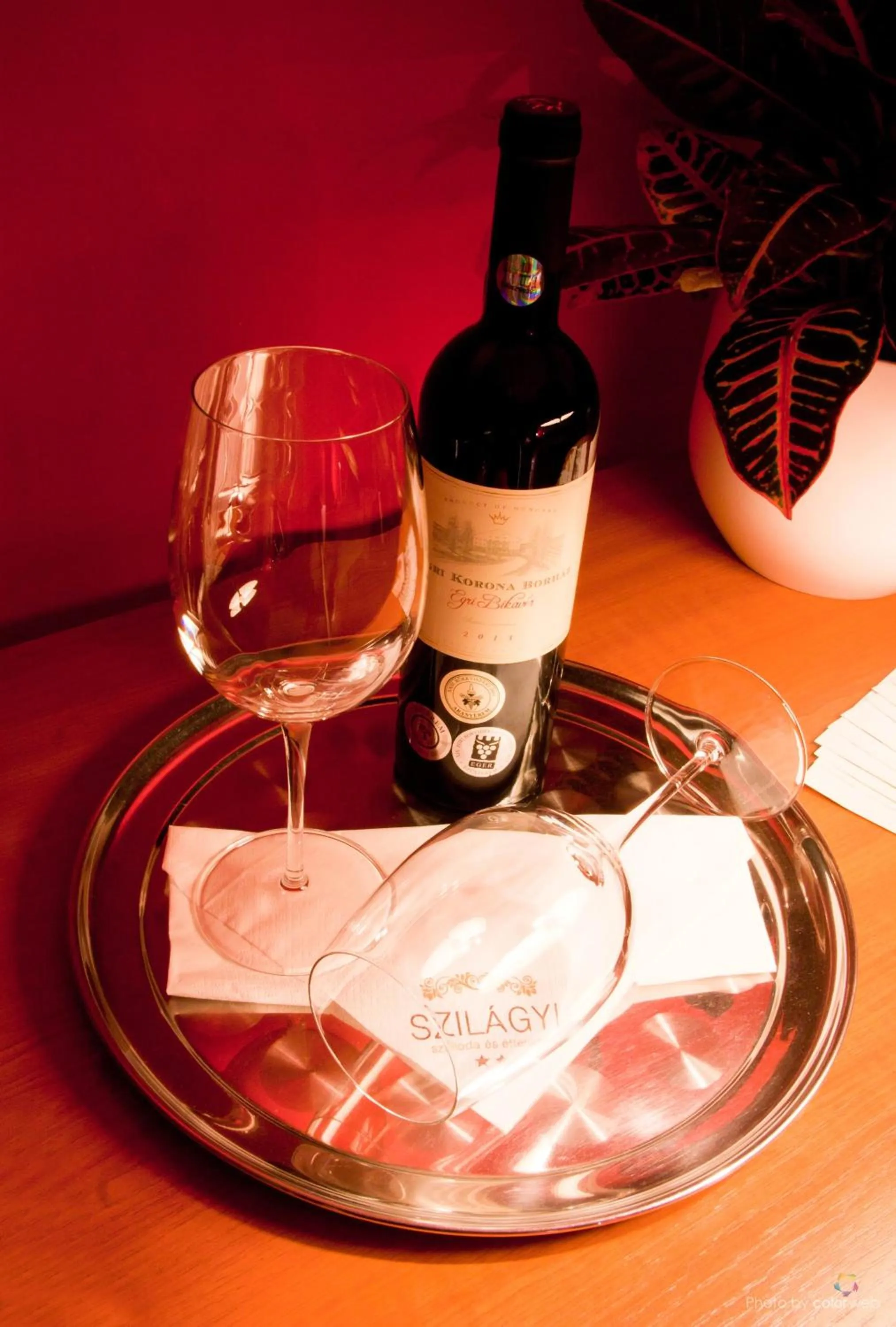 Alcoholic drinks in Szilagyi Hotel&Restaurant