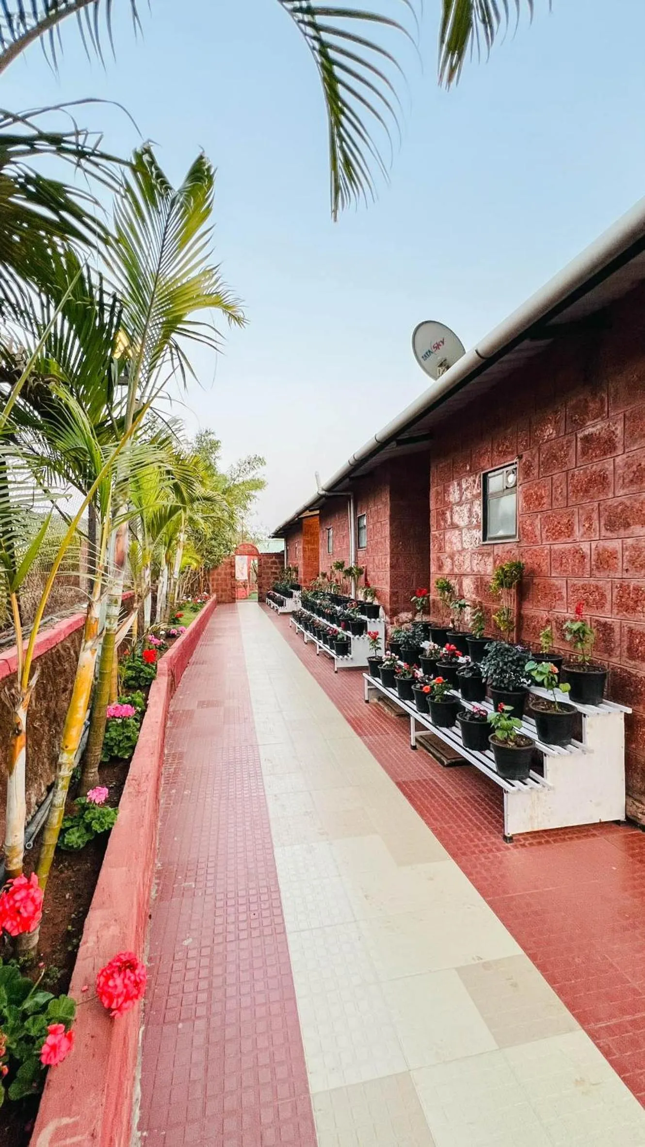 Garden in SHARDUL HERITAGE THE RESORT