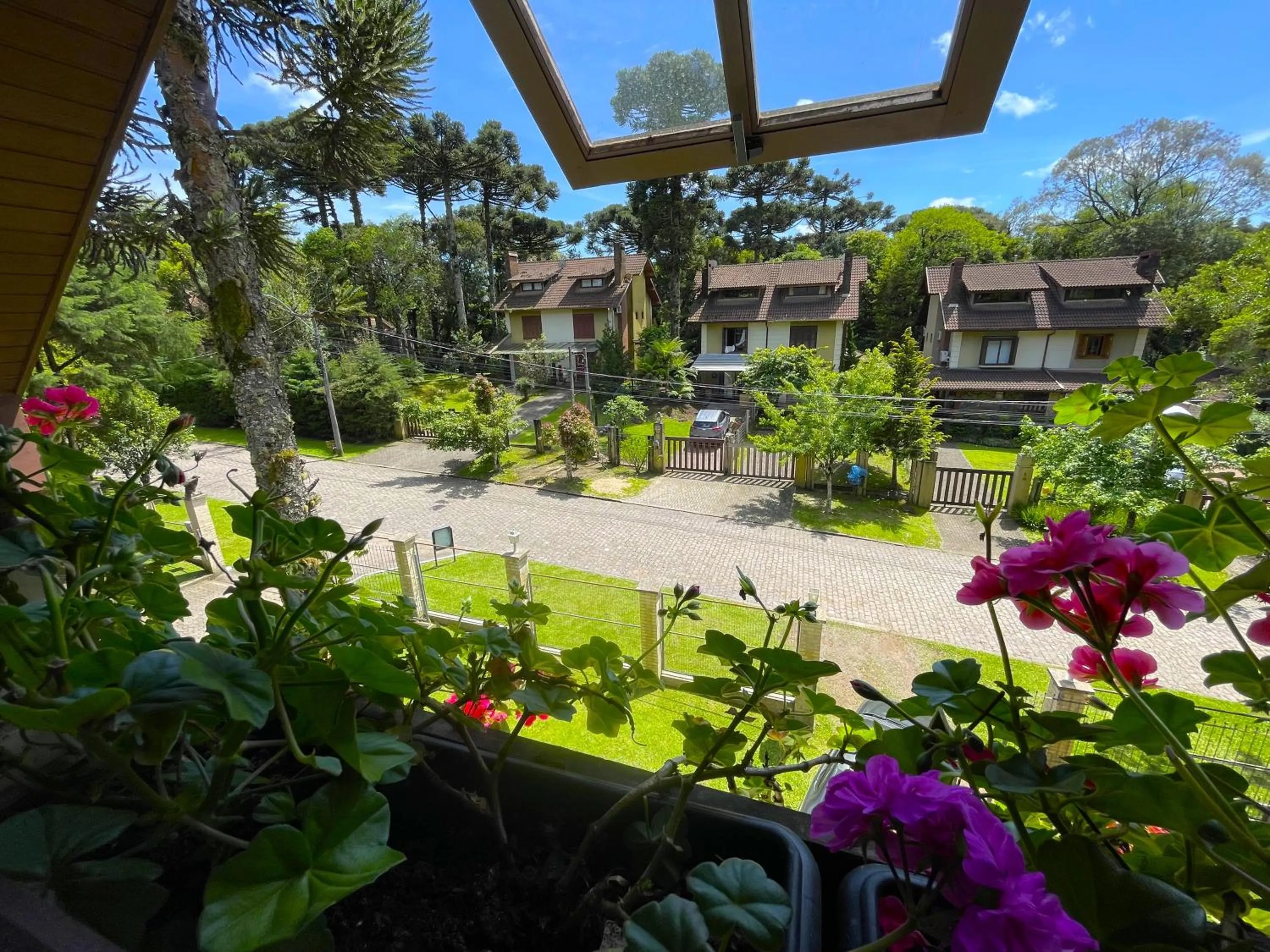 Garden view in Pousada Bella Serra