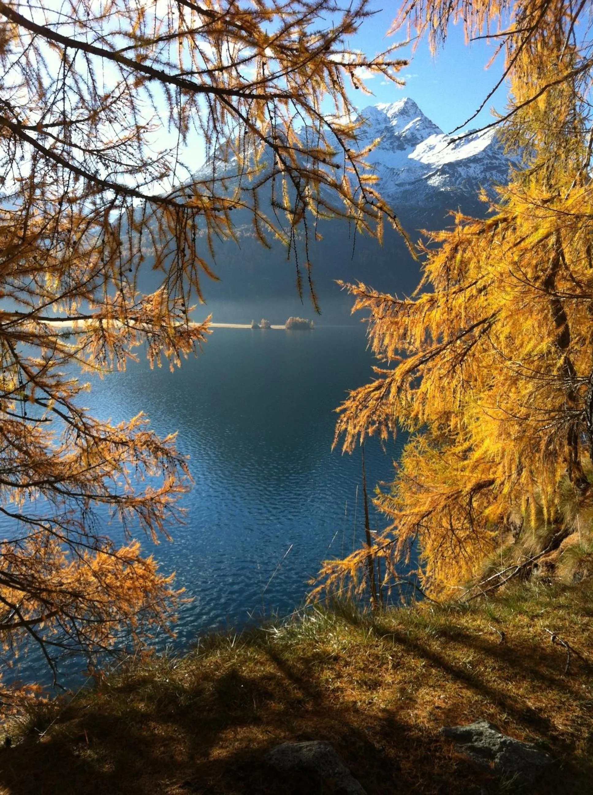 Area and facilities in Hotel Pöstli