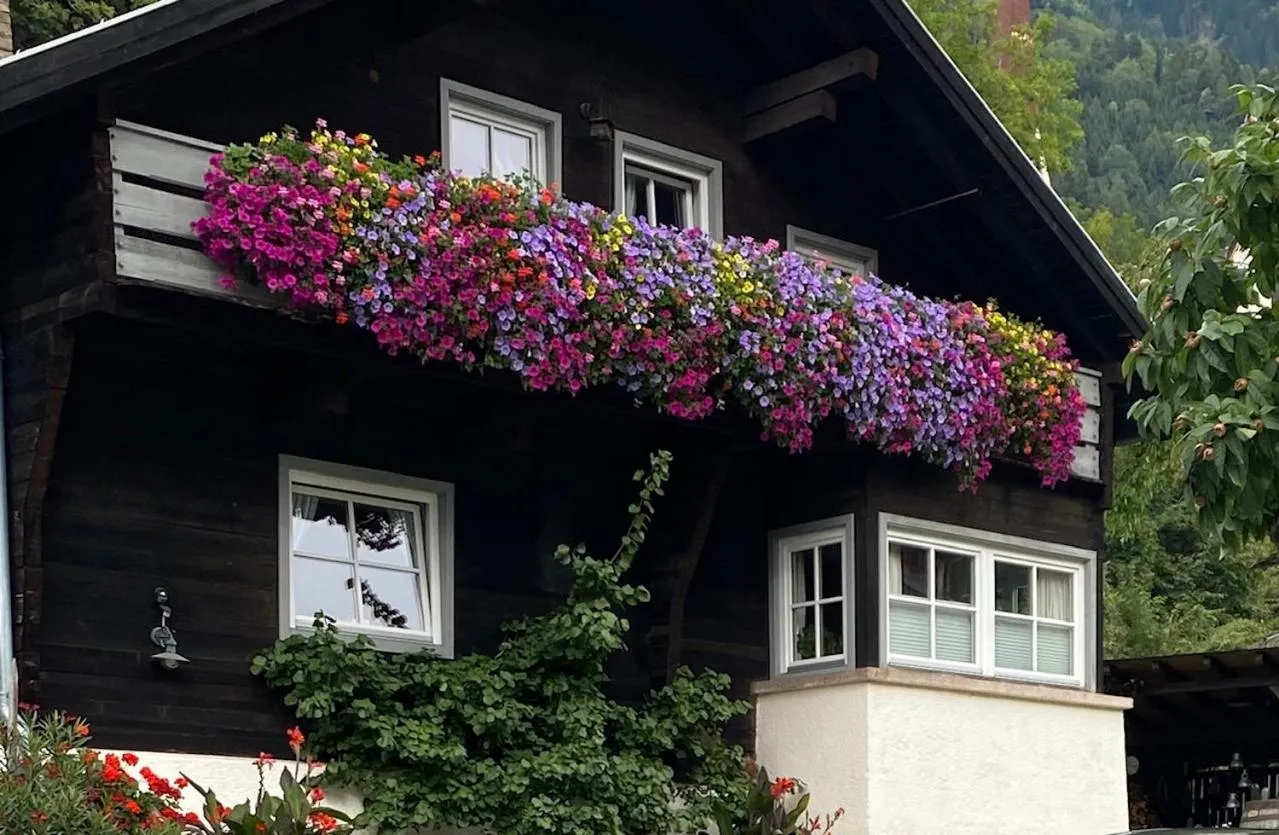 Garden in Landhaus Edelweiss
