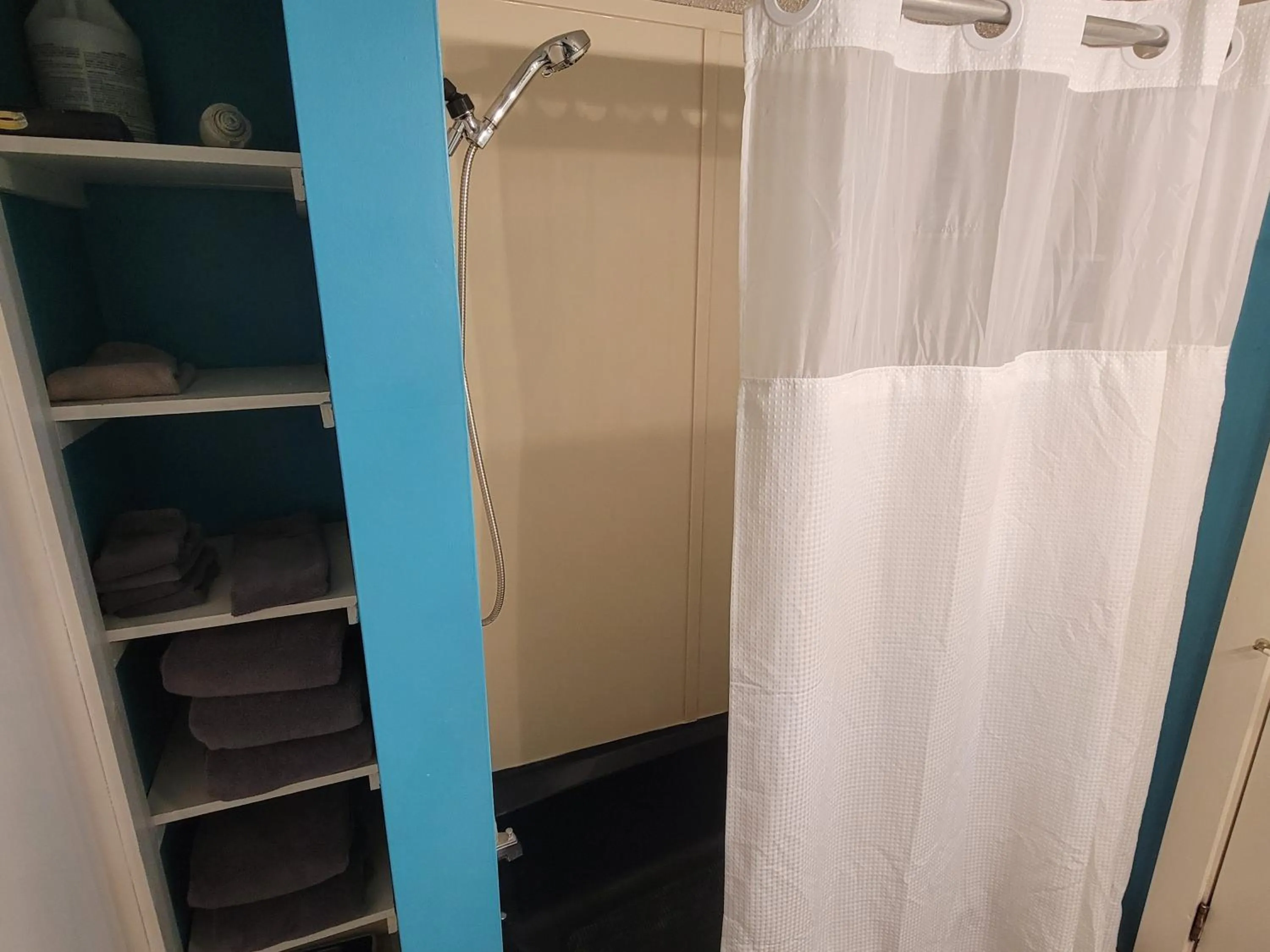 Shower in The Weis Mansion Bed and Breakfast