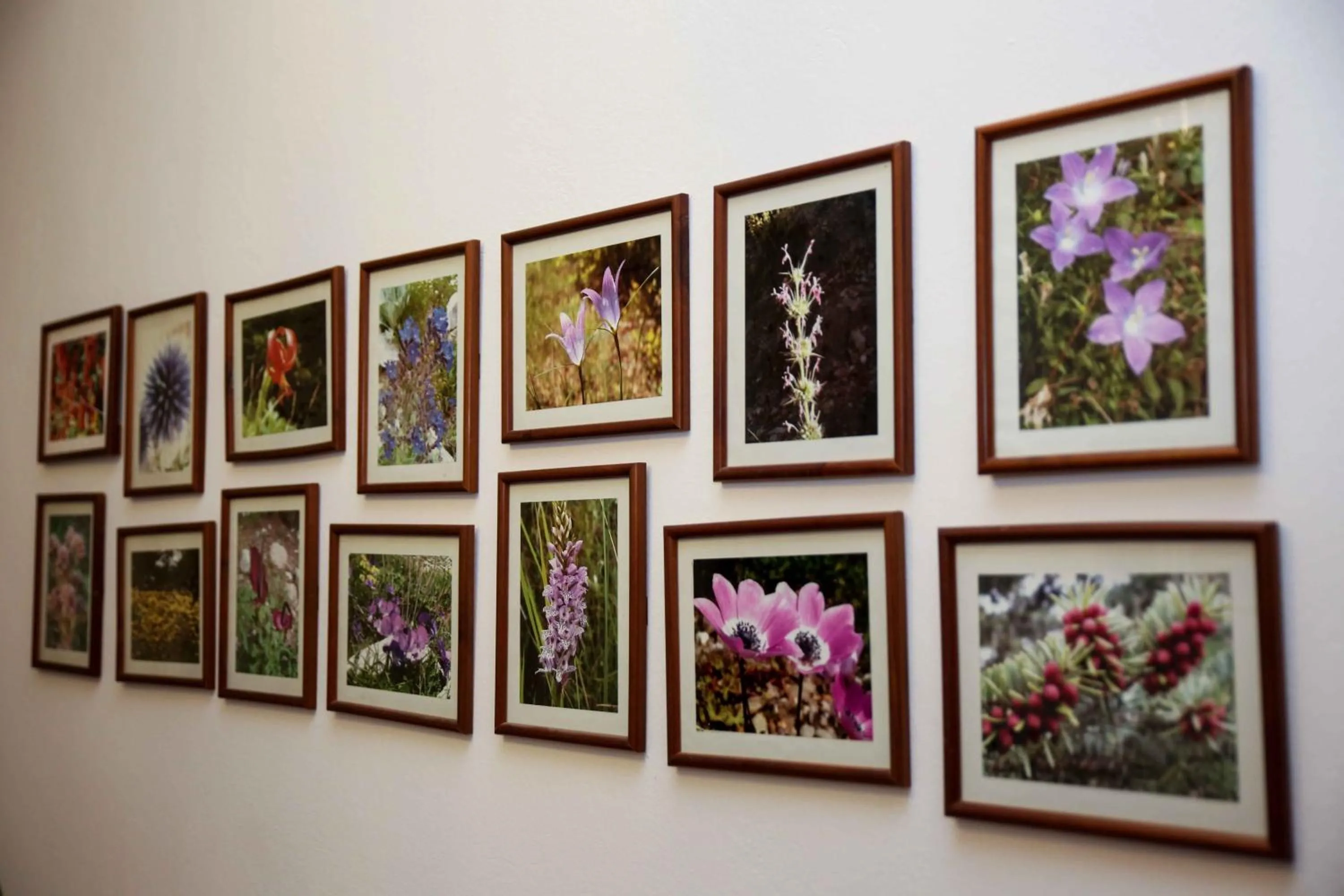 Decorative detail in Anixis Hotel