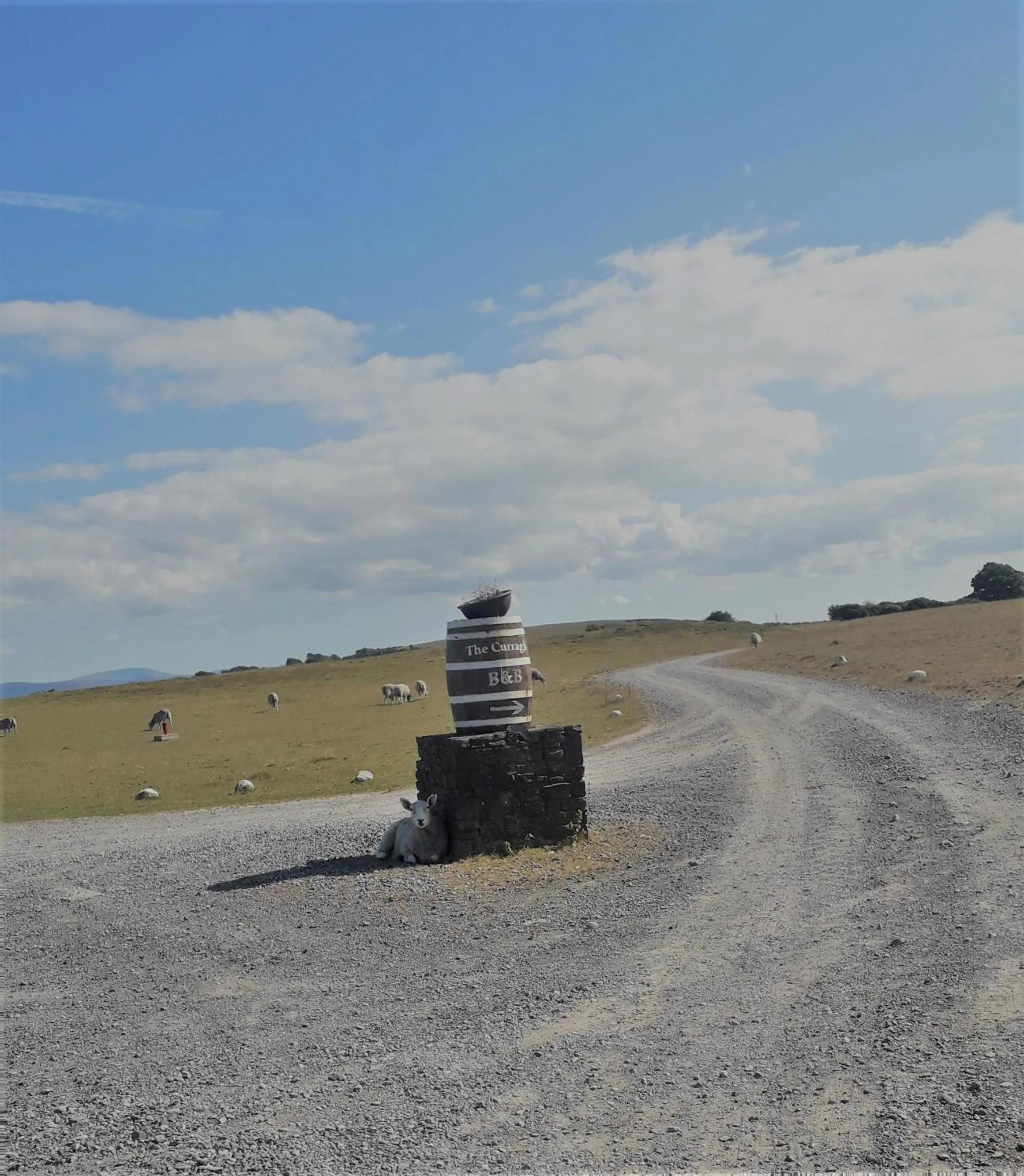 View (from property/room) in The Curragh Country House Accommodation