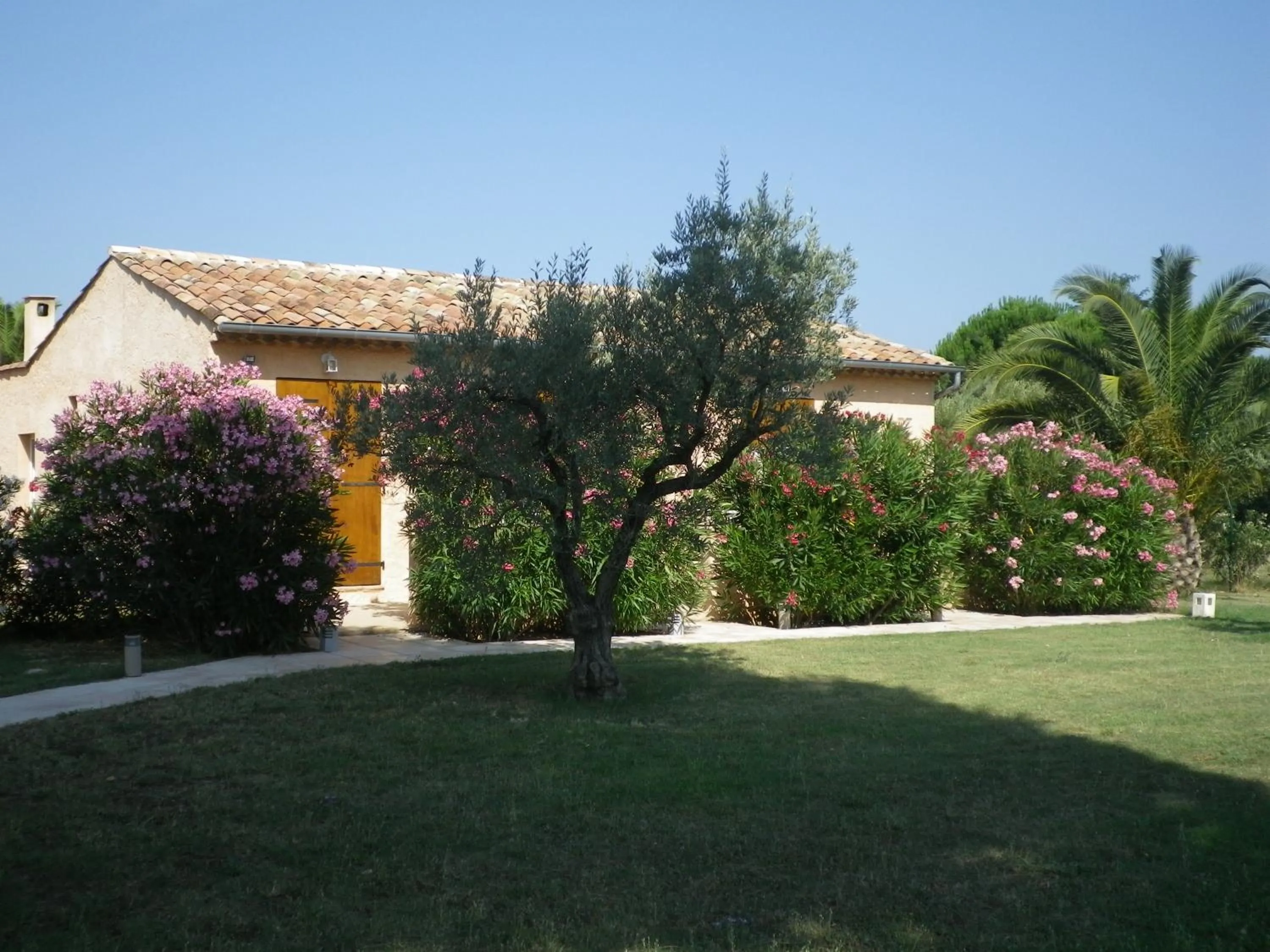 Garden in Chambres d'hôtes Villa Alizé