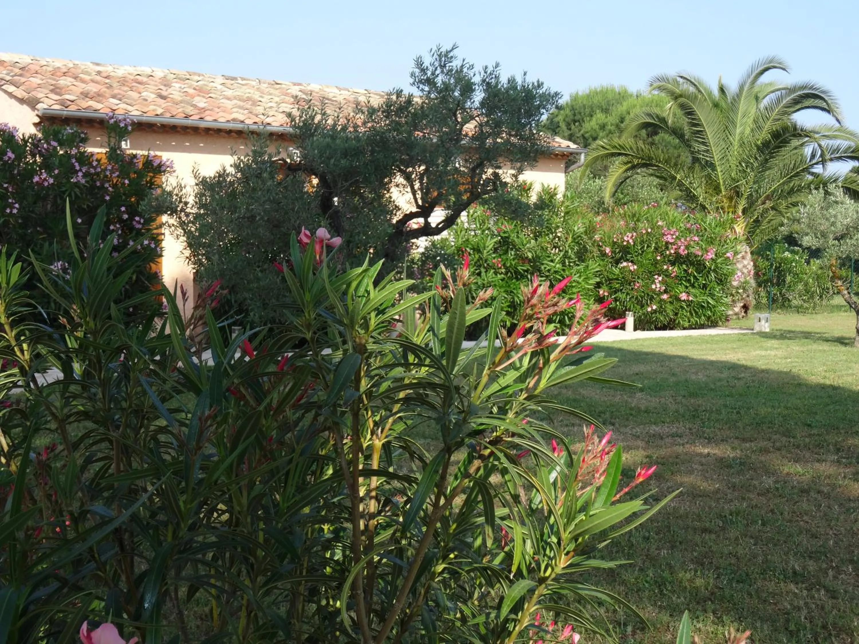 Garden view in Chambres d'hôtes Villa Alizé