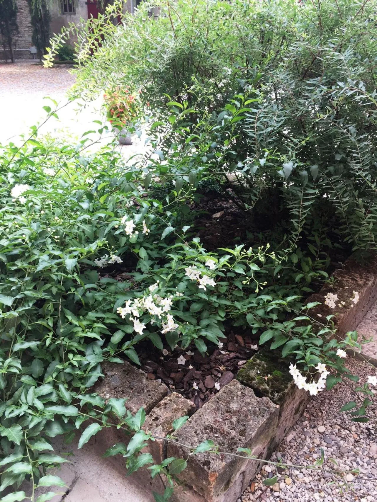 Garden in Palazzo Strassoldo bed & breakfast