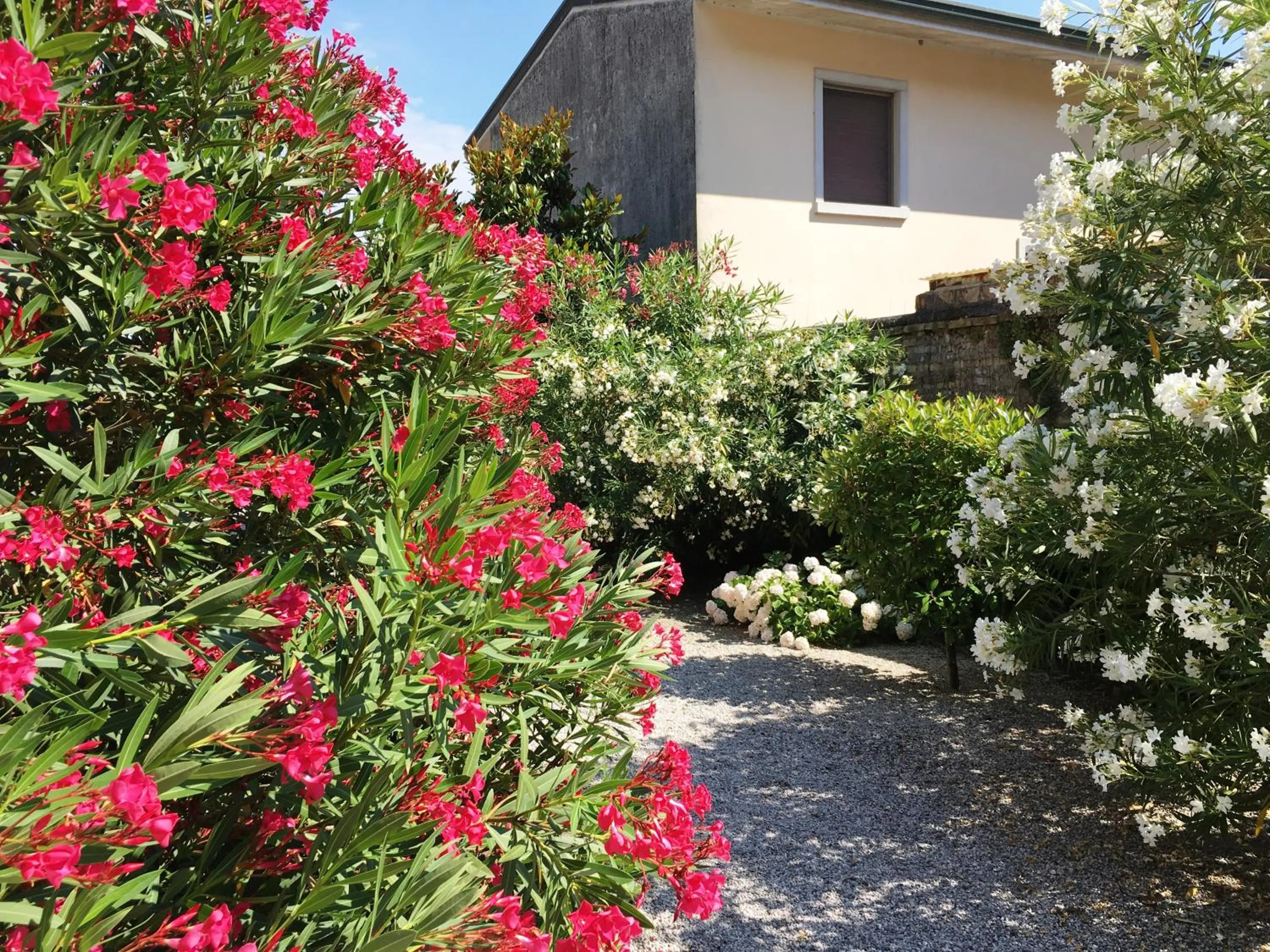 Garden in Palazzo Strassoldo bed & breakfast
