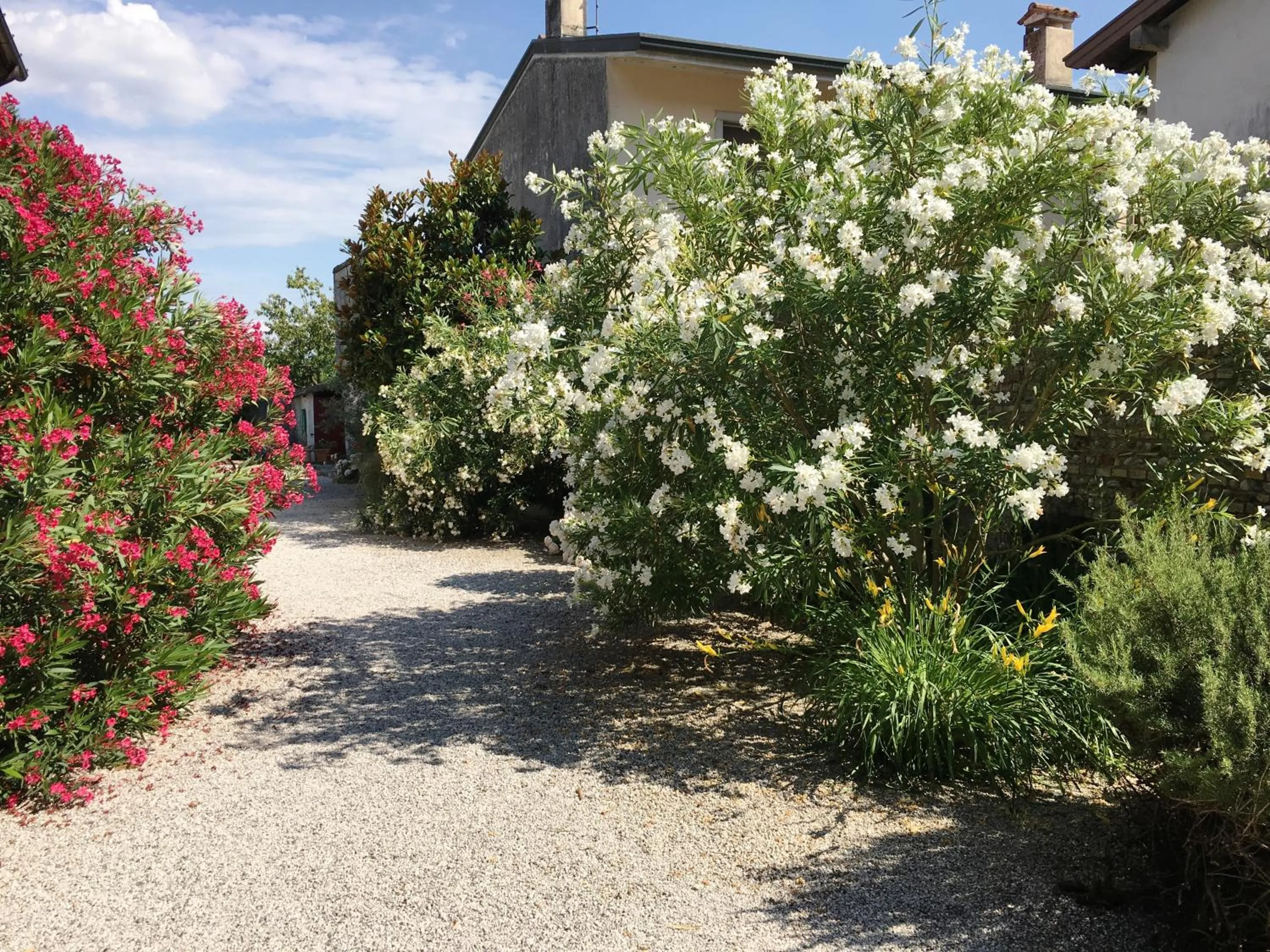 Garden in Palazzo Strassoldo bed & breakfast