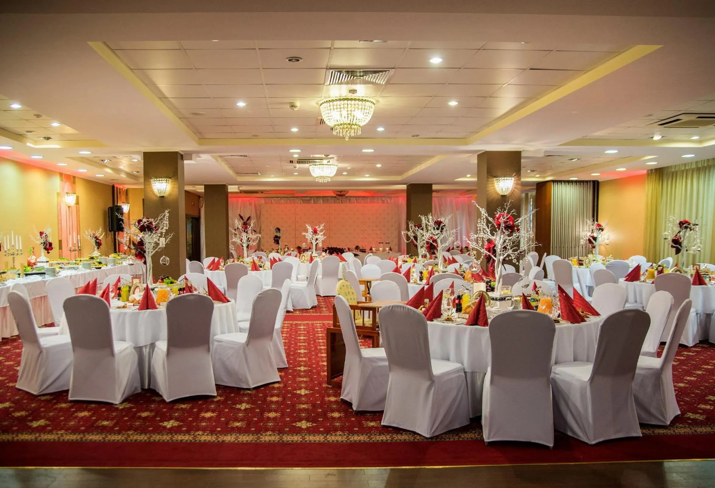 Banquet/Function facilities in Hotel Novum & Spa