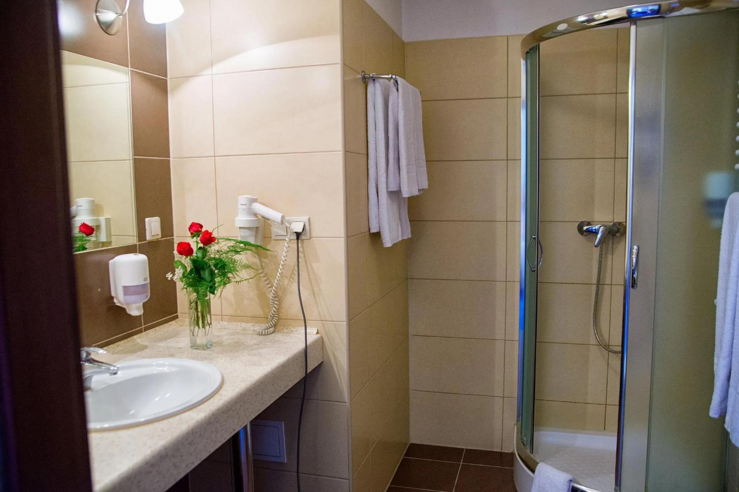 Bathroom in Hotel Novum & Spa