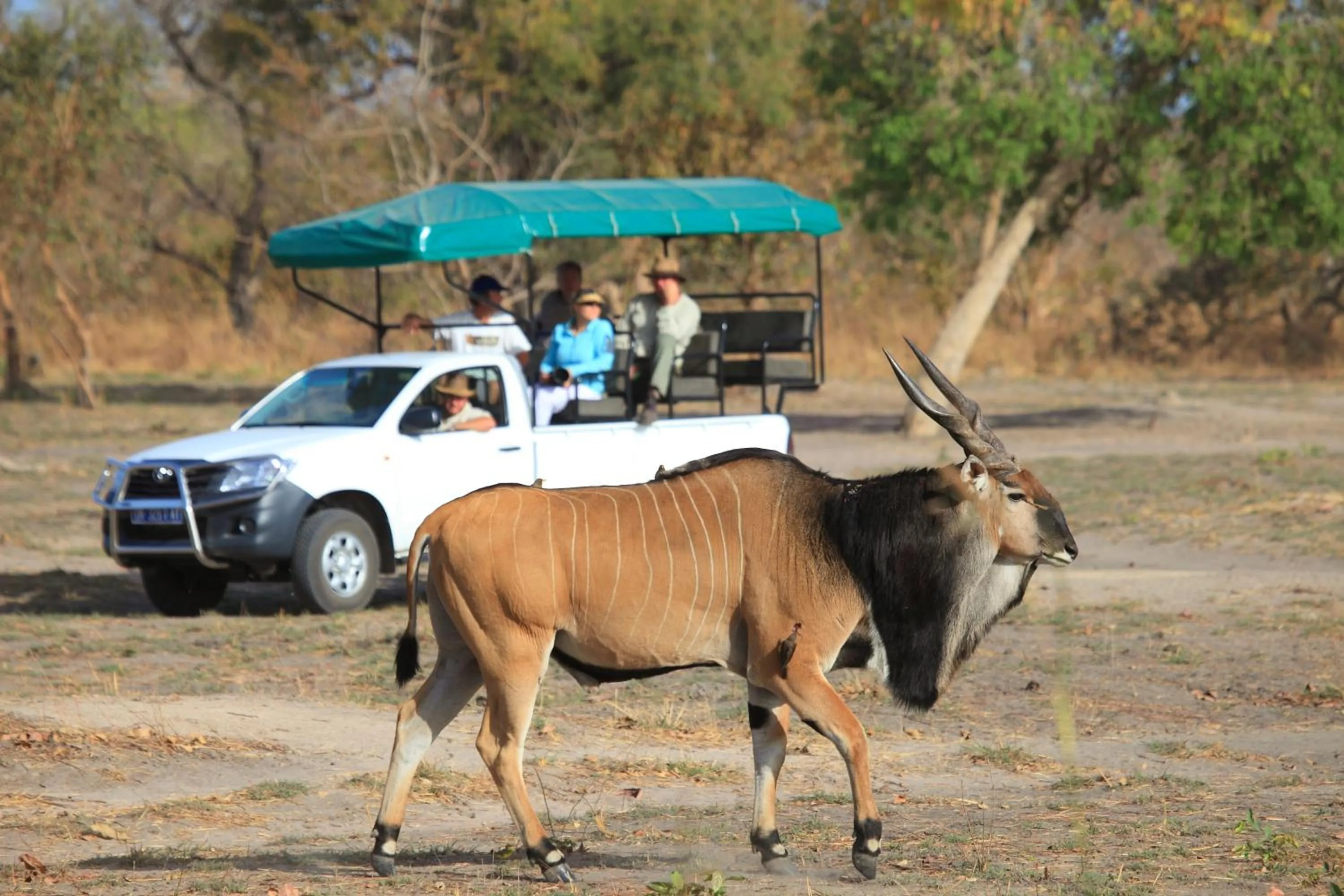 Other in Fathala Wildlife Reserve