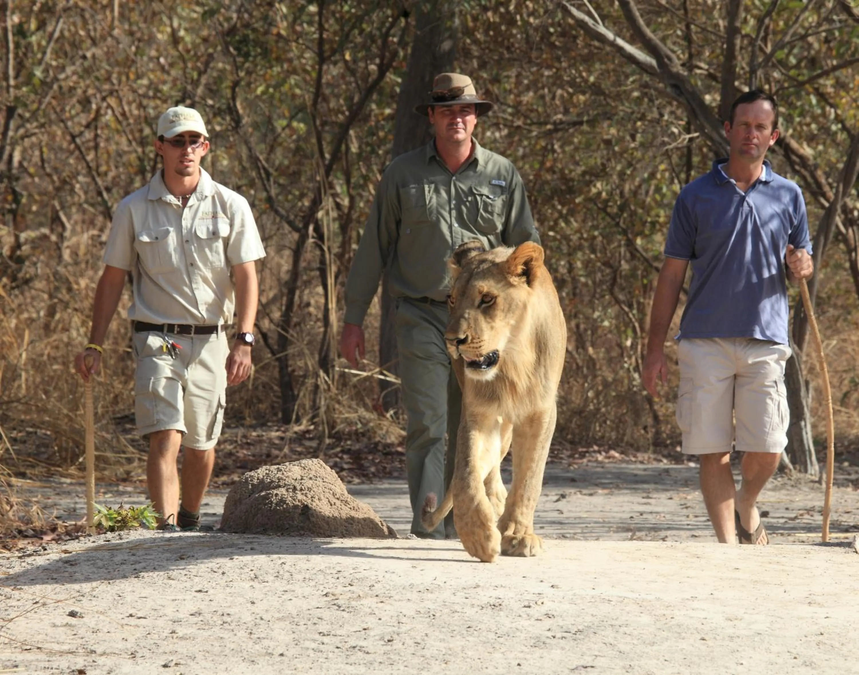 Hiking in Fathala Wildlife Reserve