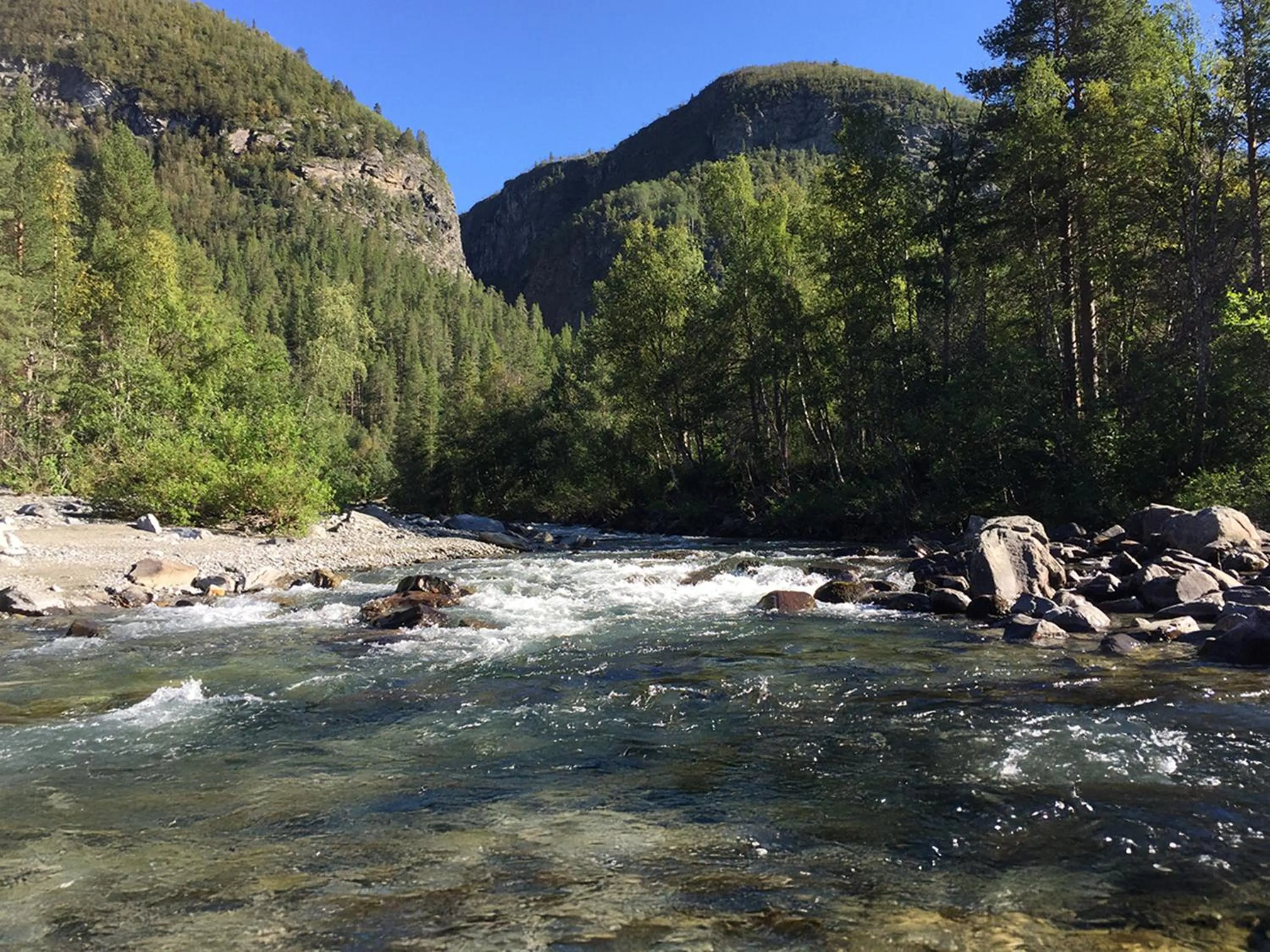 Activities in Arctic Panorama Lodge