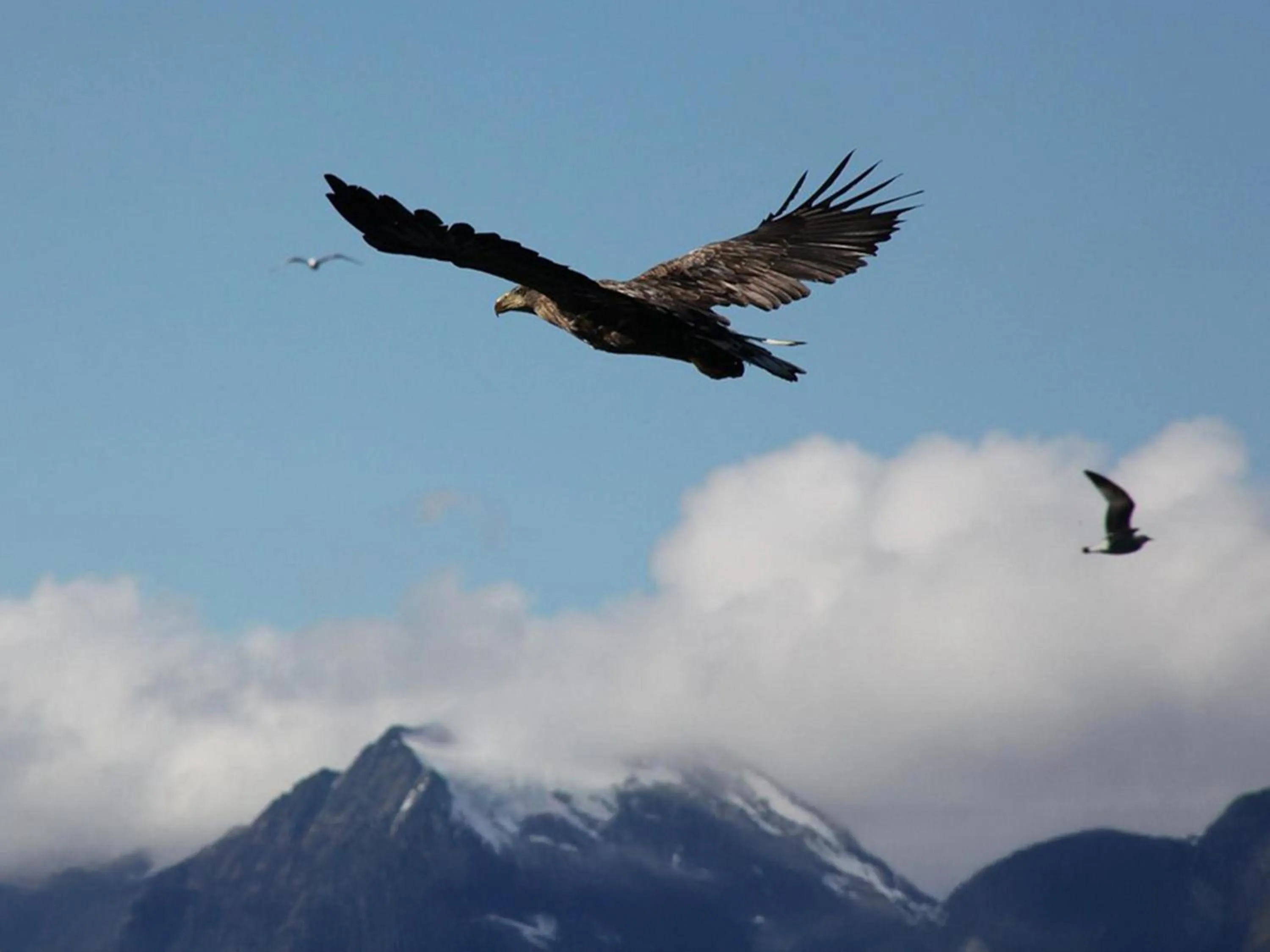 Activities in Arctic Panorama Lodge